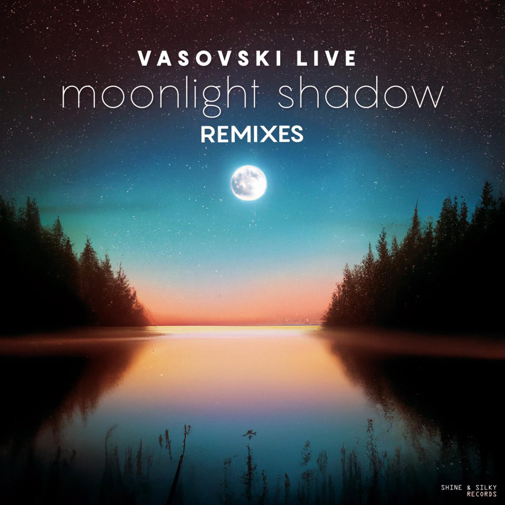 Постер альбома Moonlight Shadow Remixes