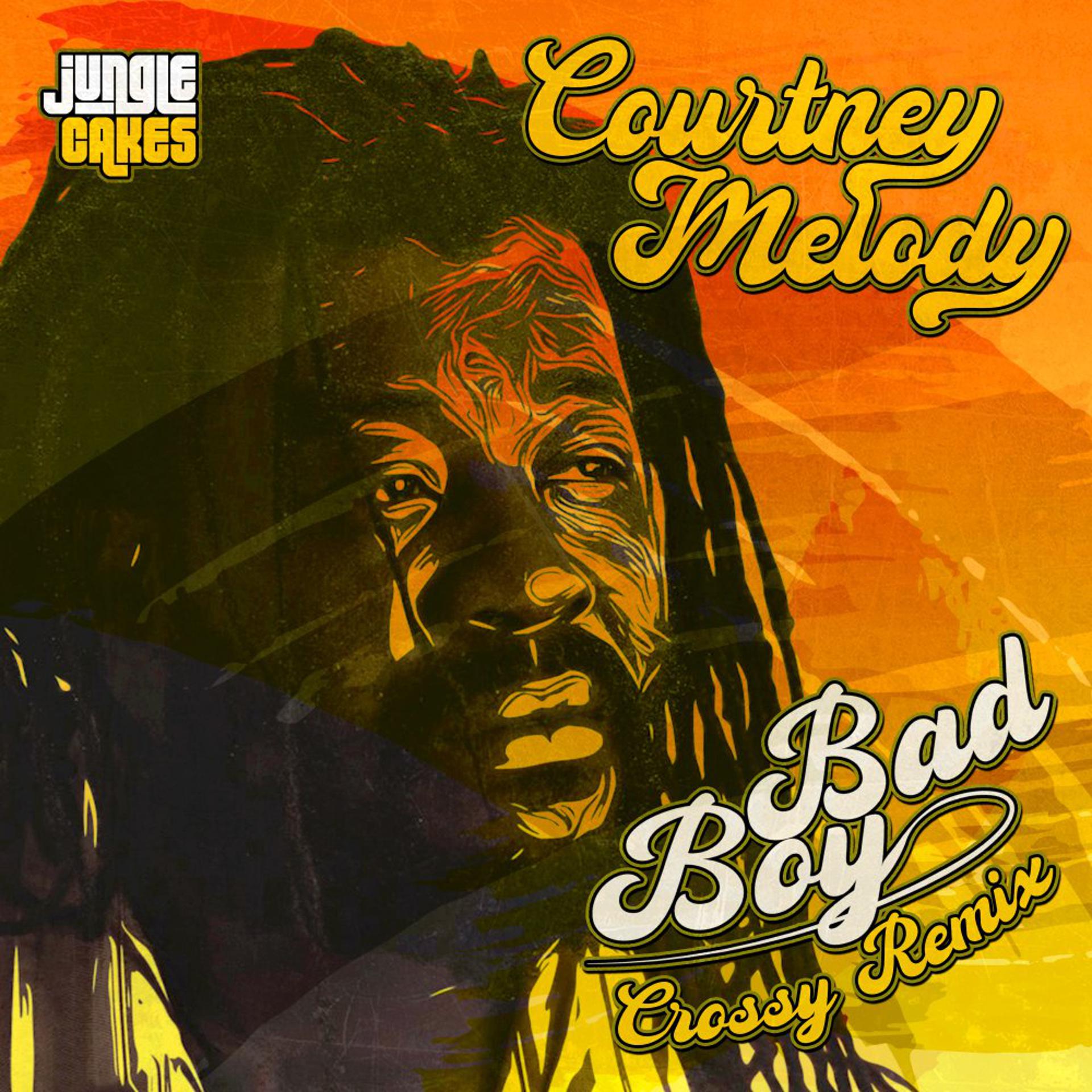 Постер альбома Bad Boy (Crossy Remix)