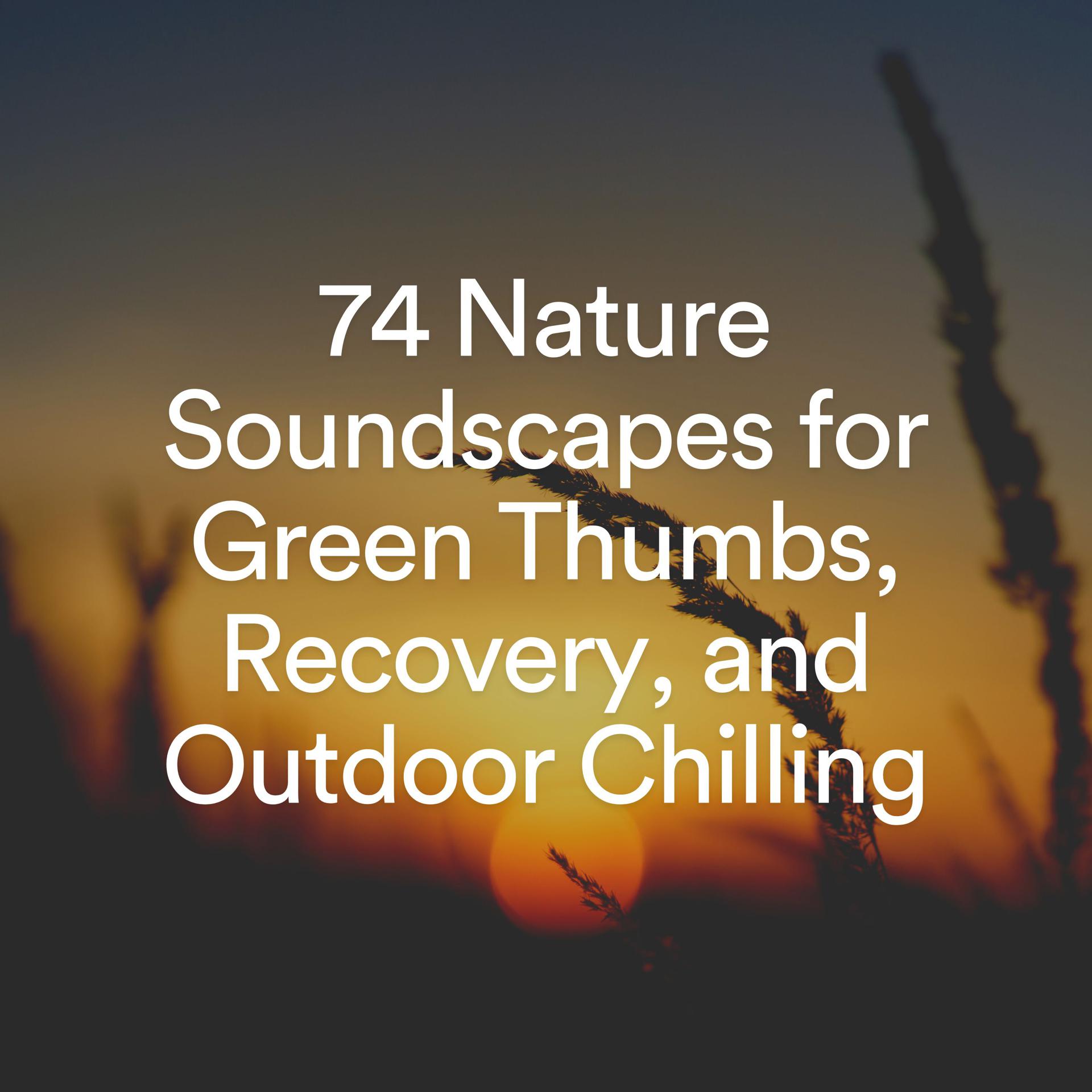 Постер альбома 74 Nature Soundscapes for Green Thumbs, Recovery, and Outdoor Chilling