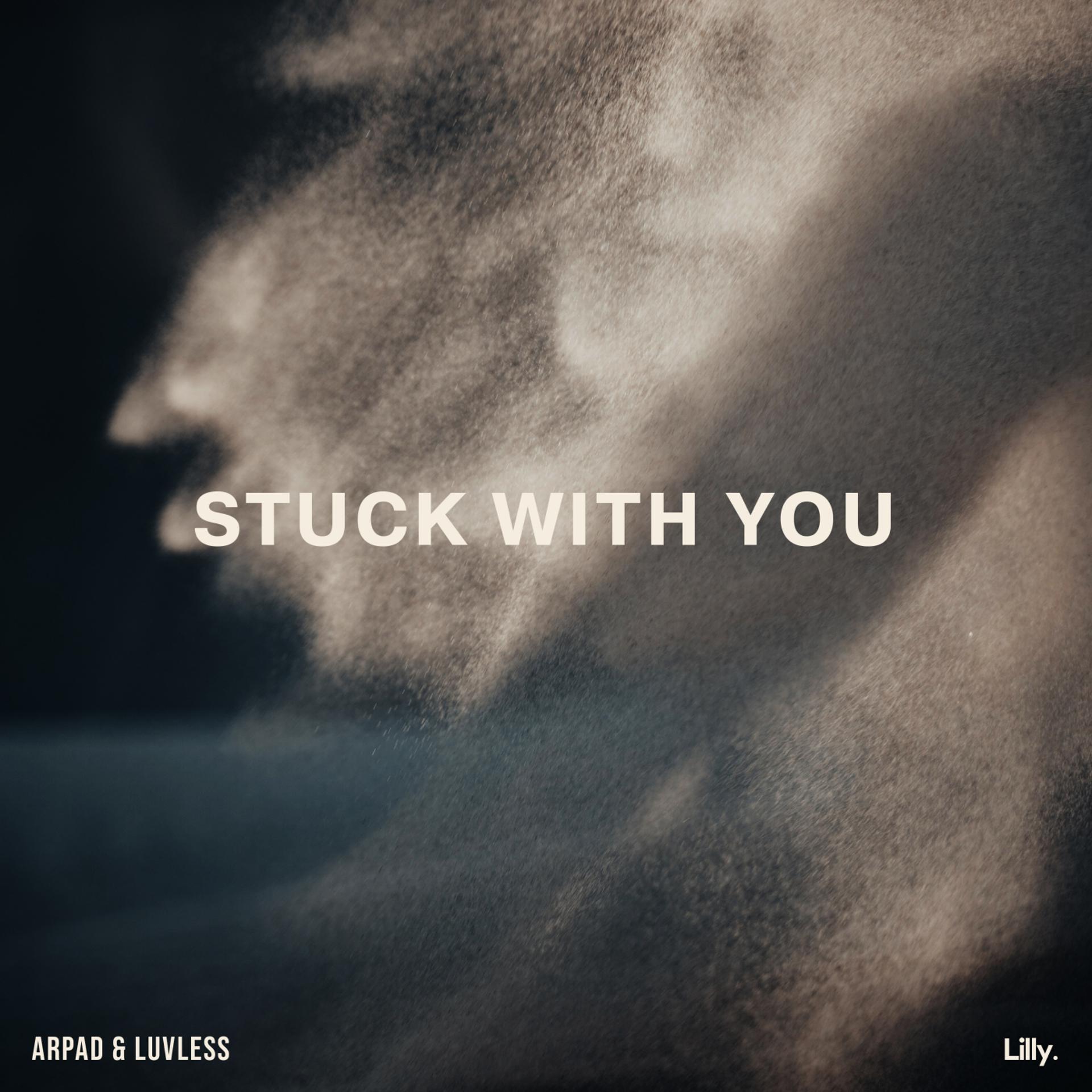 Постер альбома Stuck With You