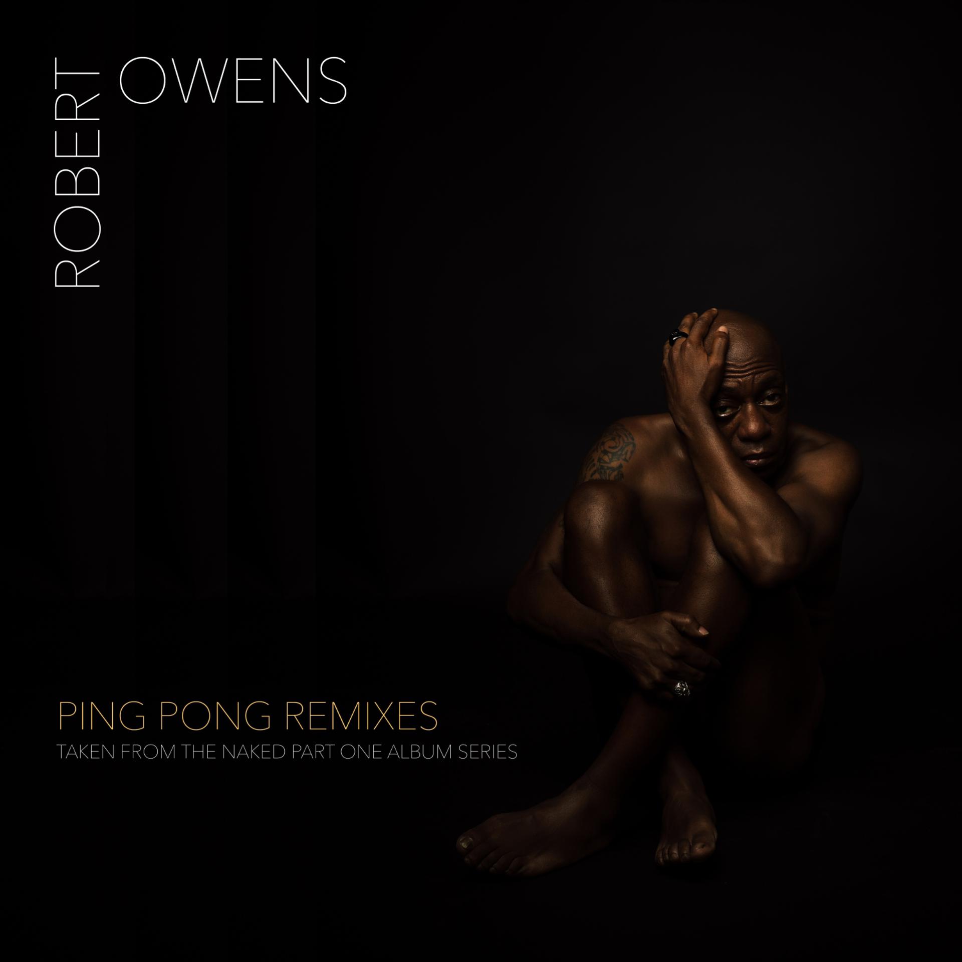 Постер альбома Ping Pong Remixes