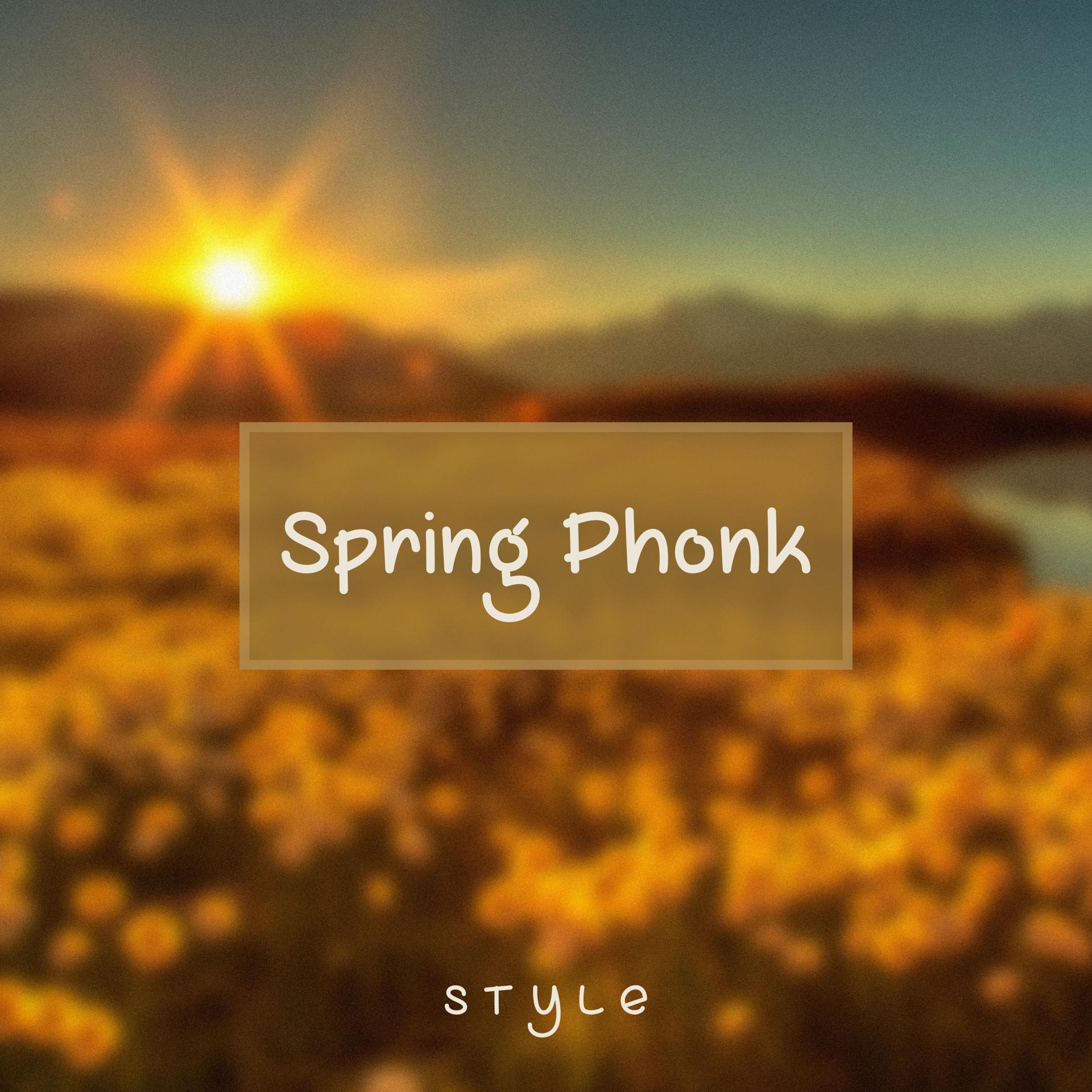 Постер к треку Style - Spring Phonk