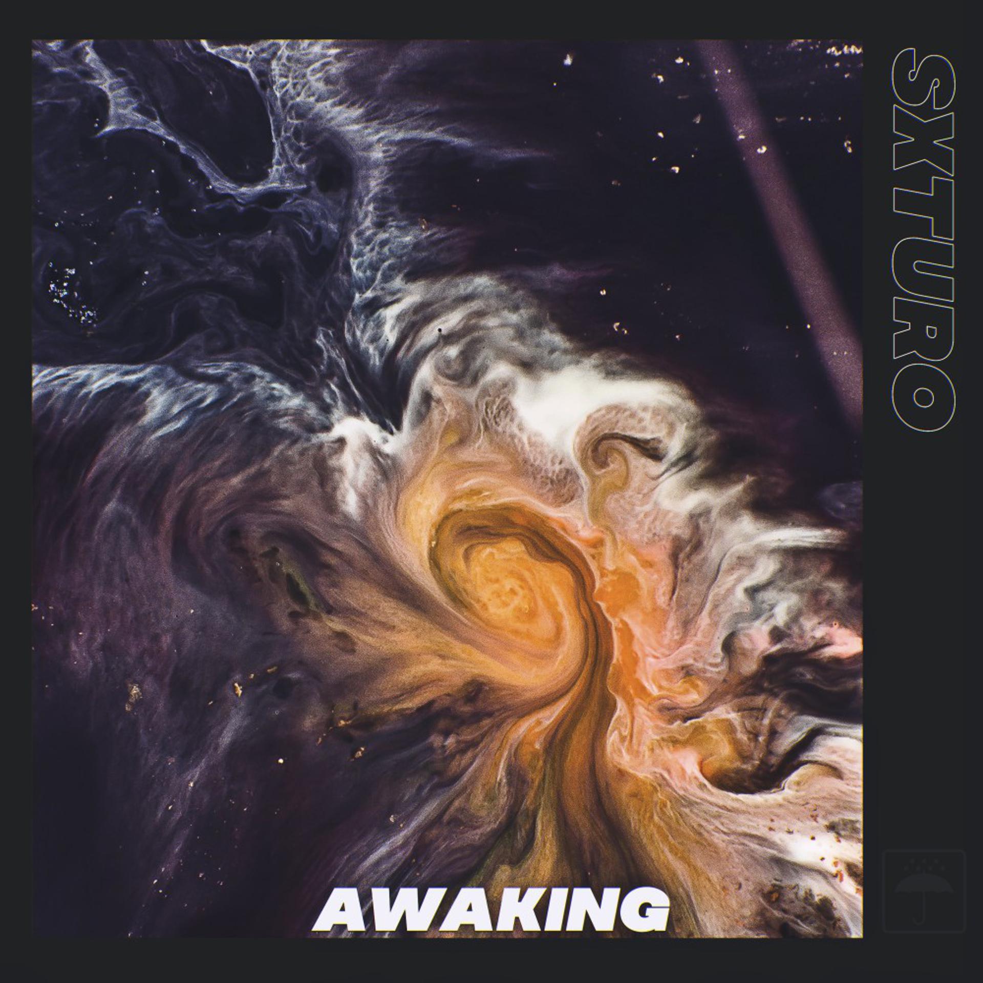 Постер альбома Awaking