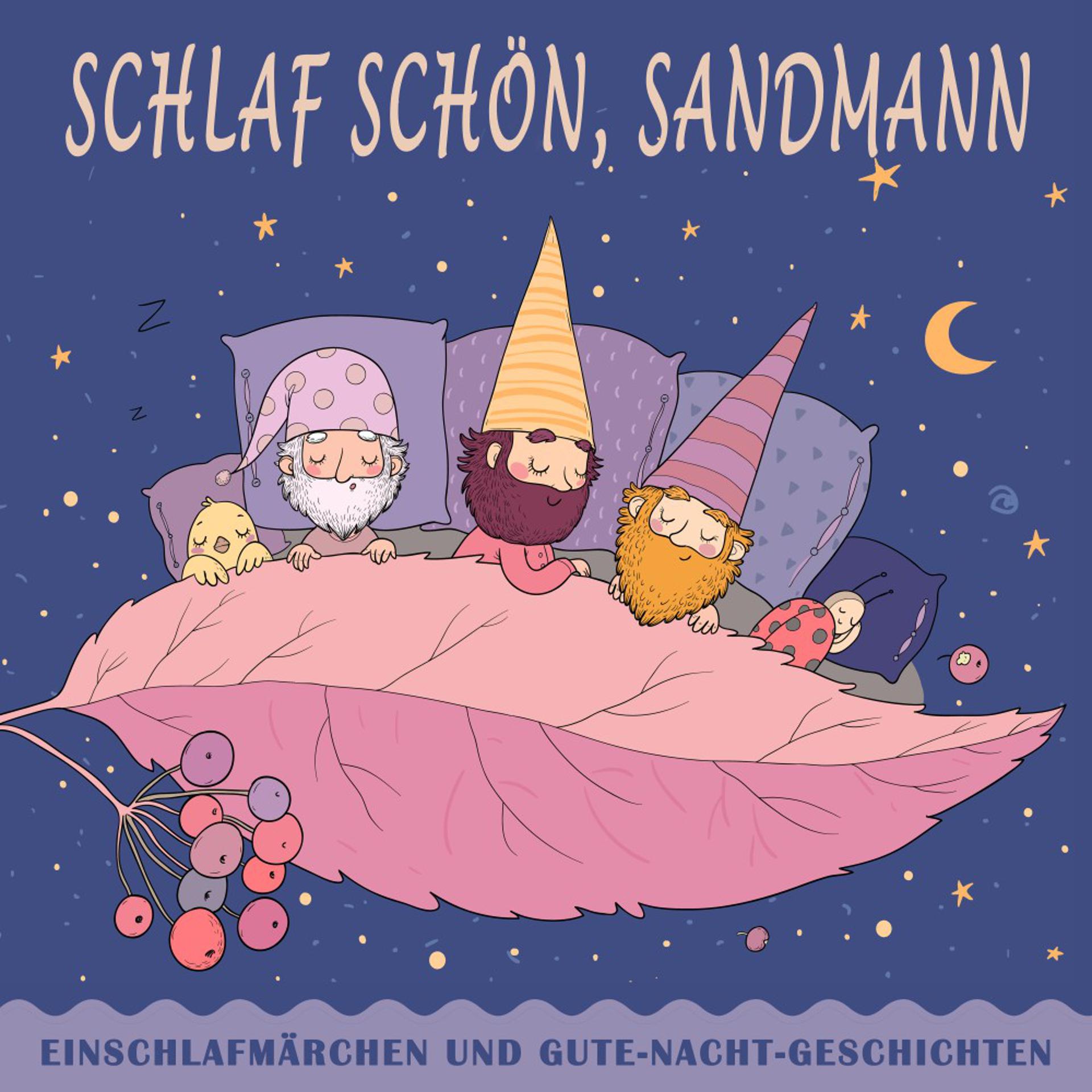 Постер альбома Schlaf schön, Sandmann (Einschlafmärchen und Gute-Nacht-Geschichten)