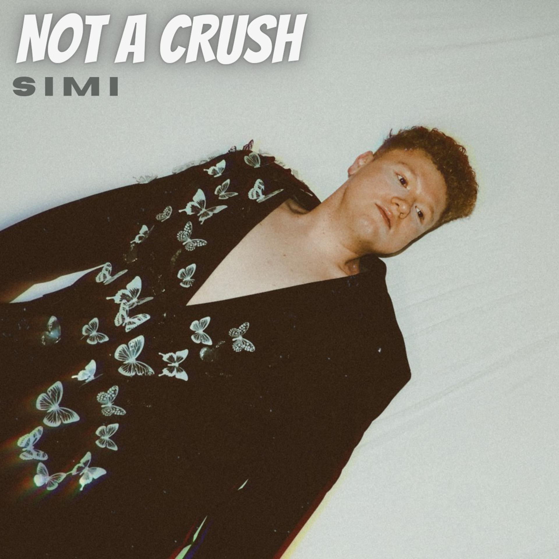 Постер альбома Not a Crush