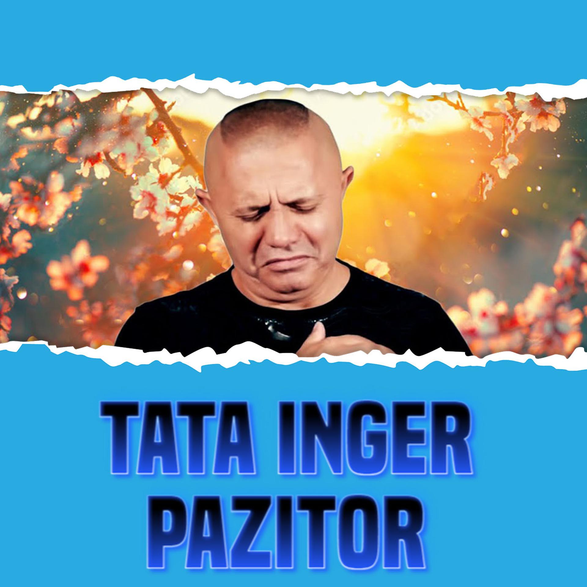 Постер альбома TATA INGER PAZITOR