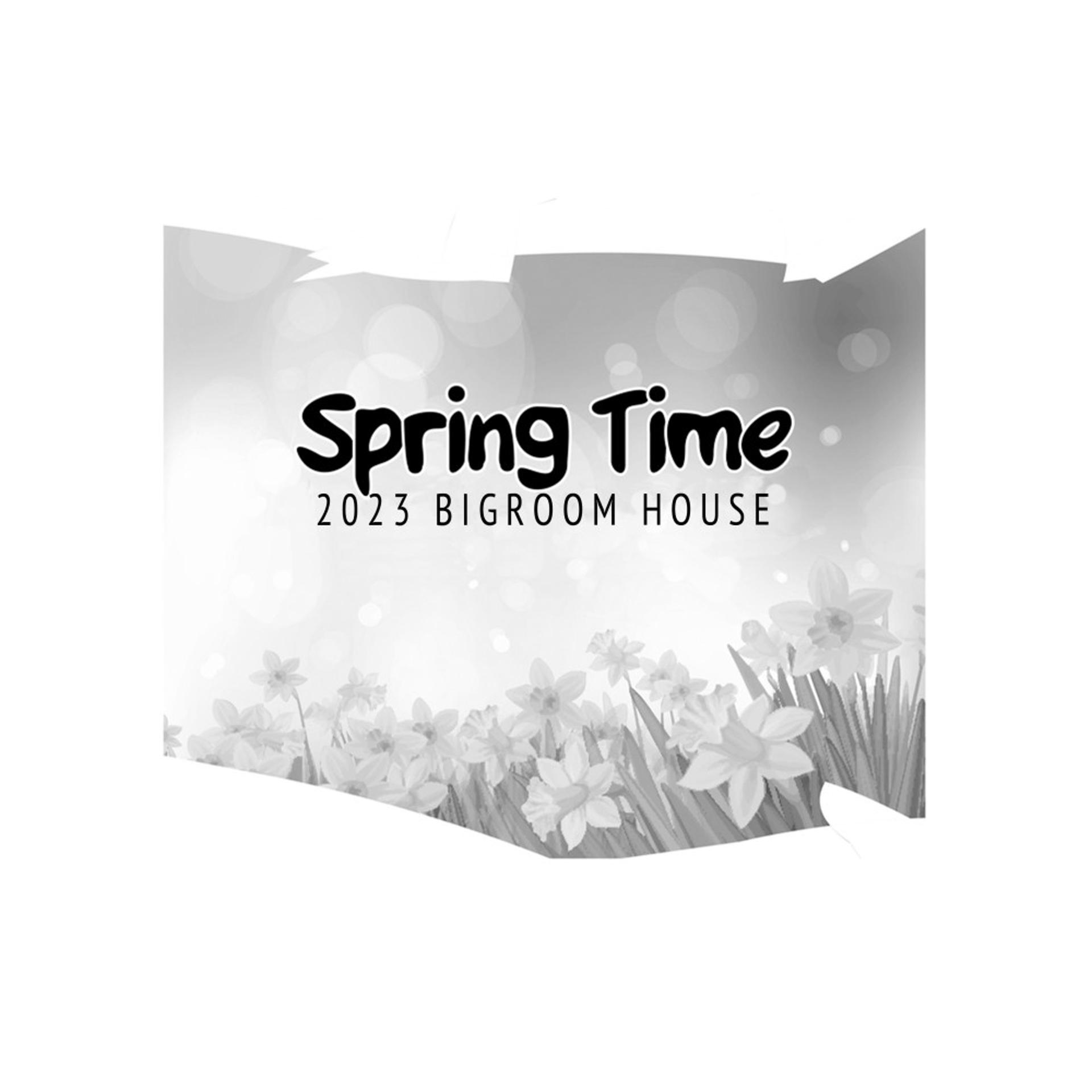 Постер альбома Spring Time - 2023 Bigroom House