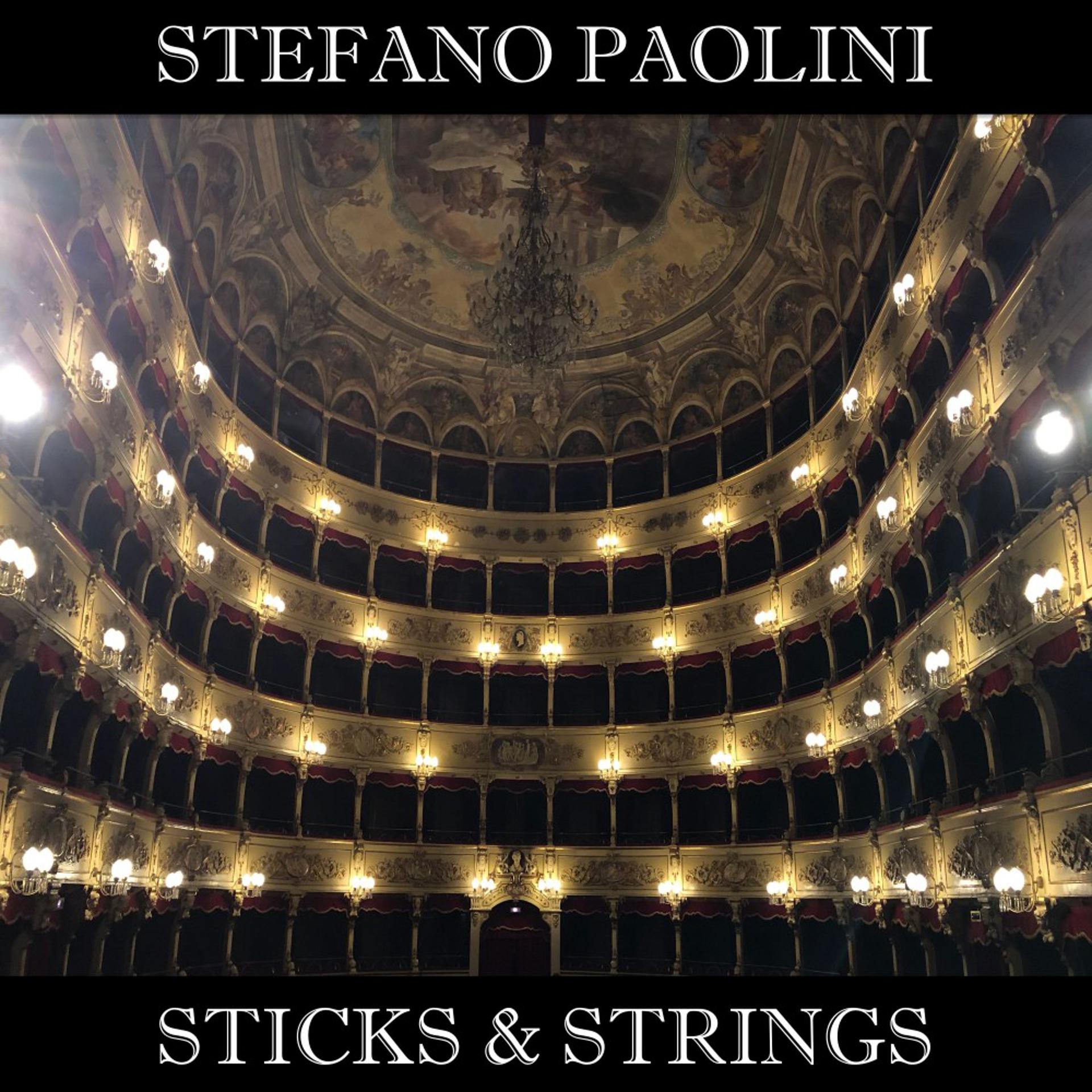 Постер альбома Sticks & Strings