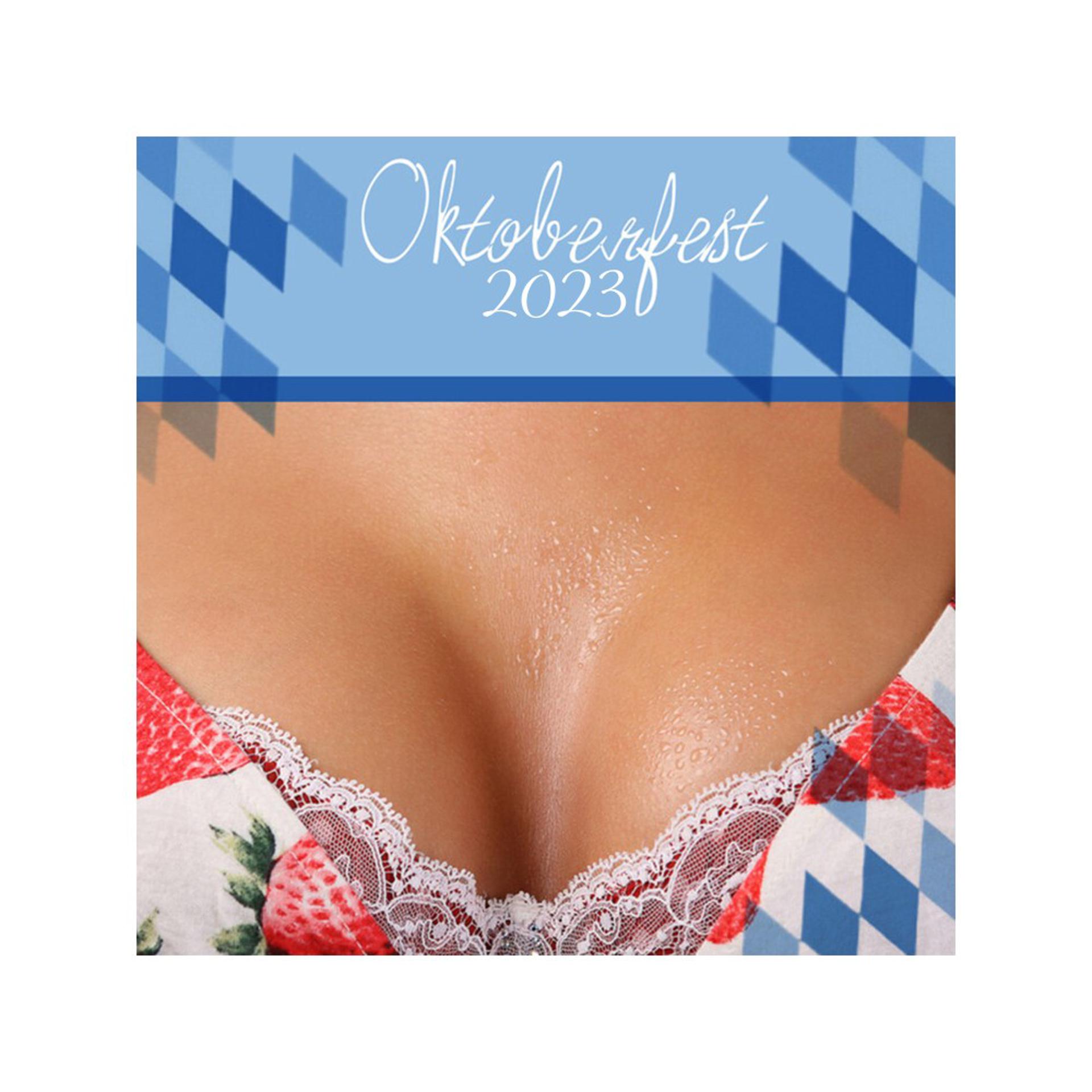 Постер альбома Oktoberfest Hit 2023