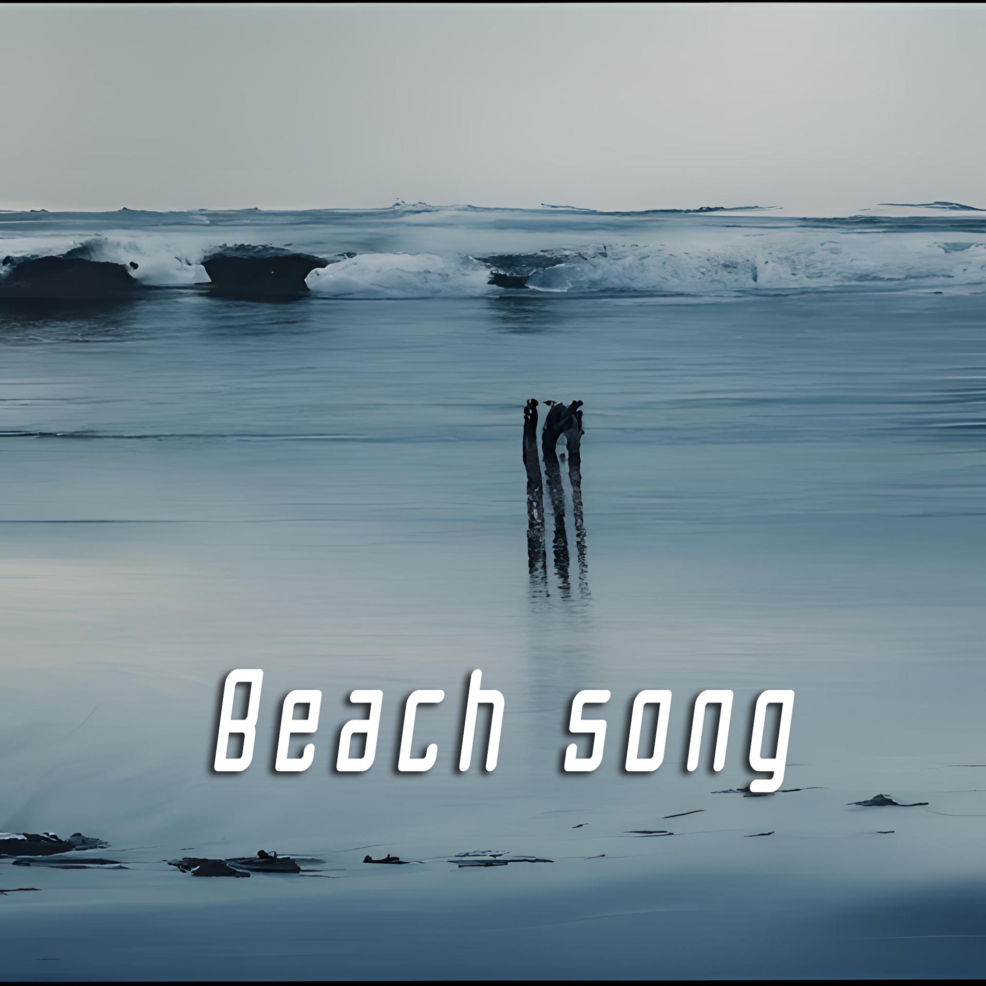 Постер альбома Beach Song