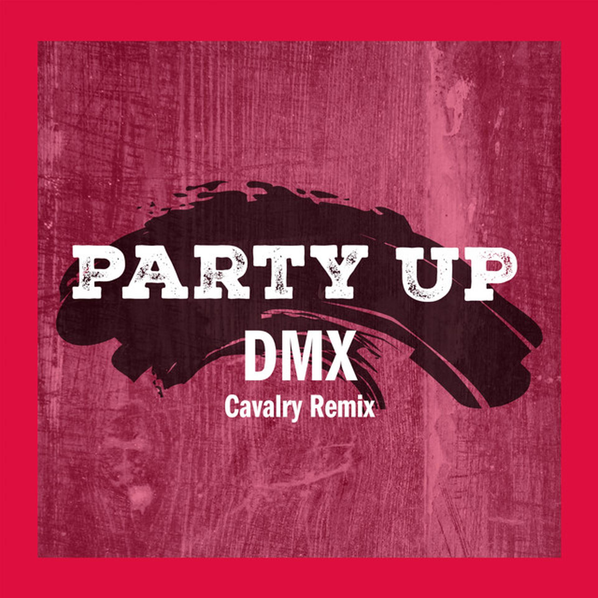 Постер альбома Party Up (Cavalry Remix)