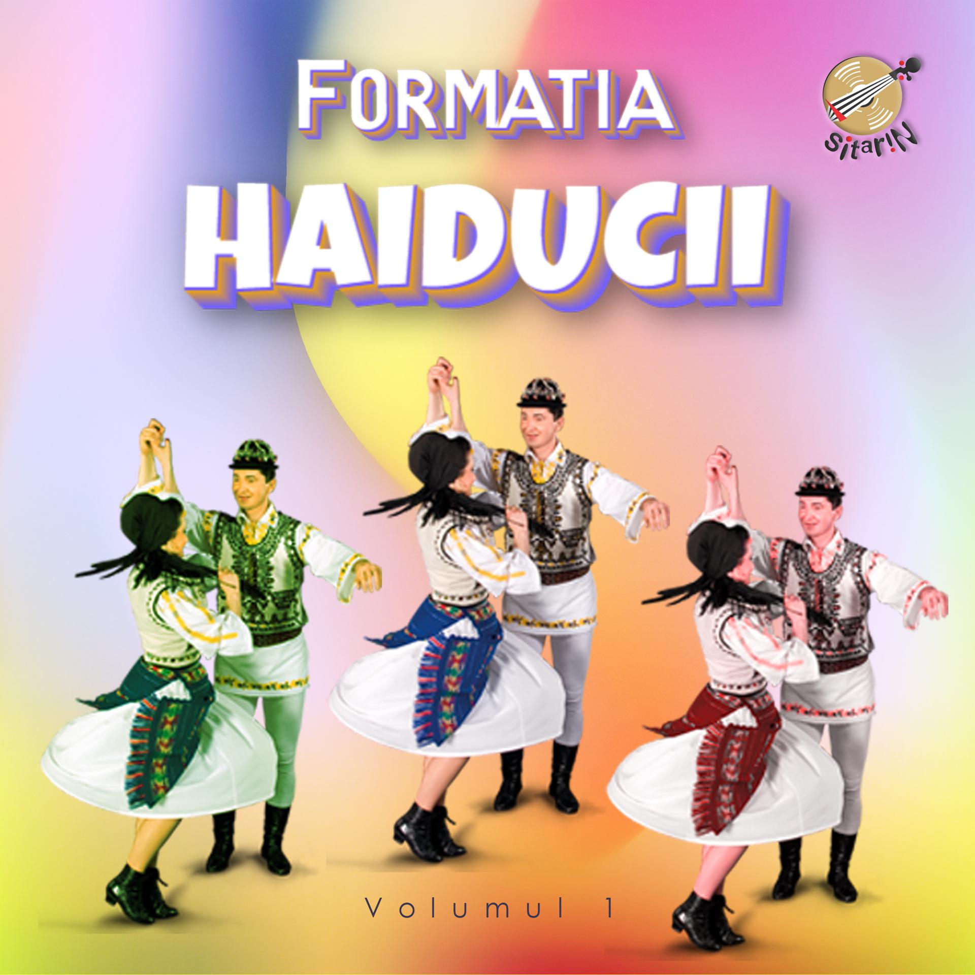 Постер альбома Formatia Haiducii, Vol. 1