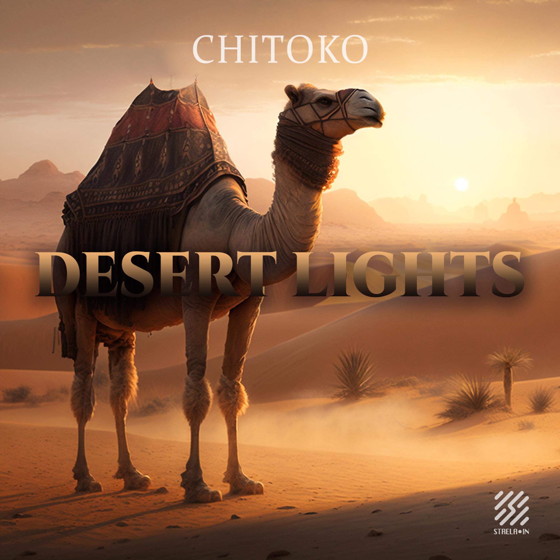 Постер альбома Desert Lights