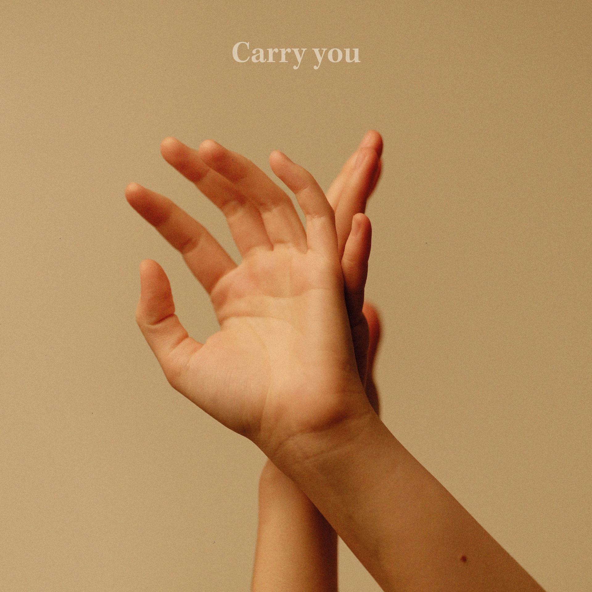 Постер альбома Carry You