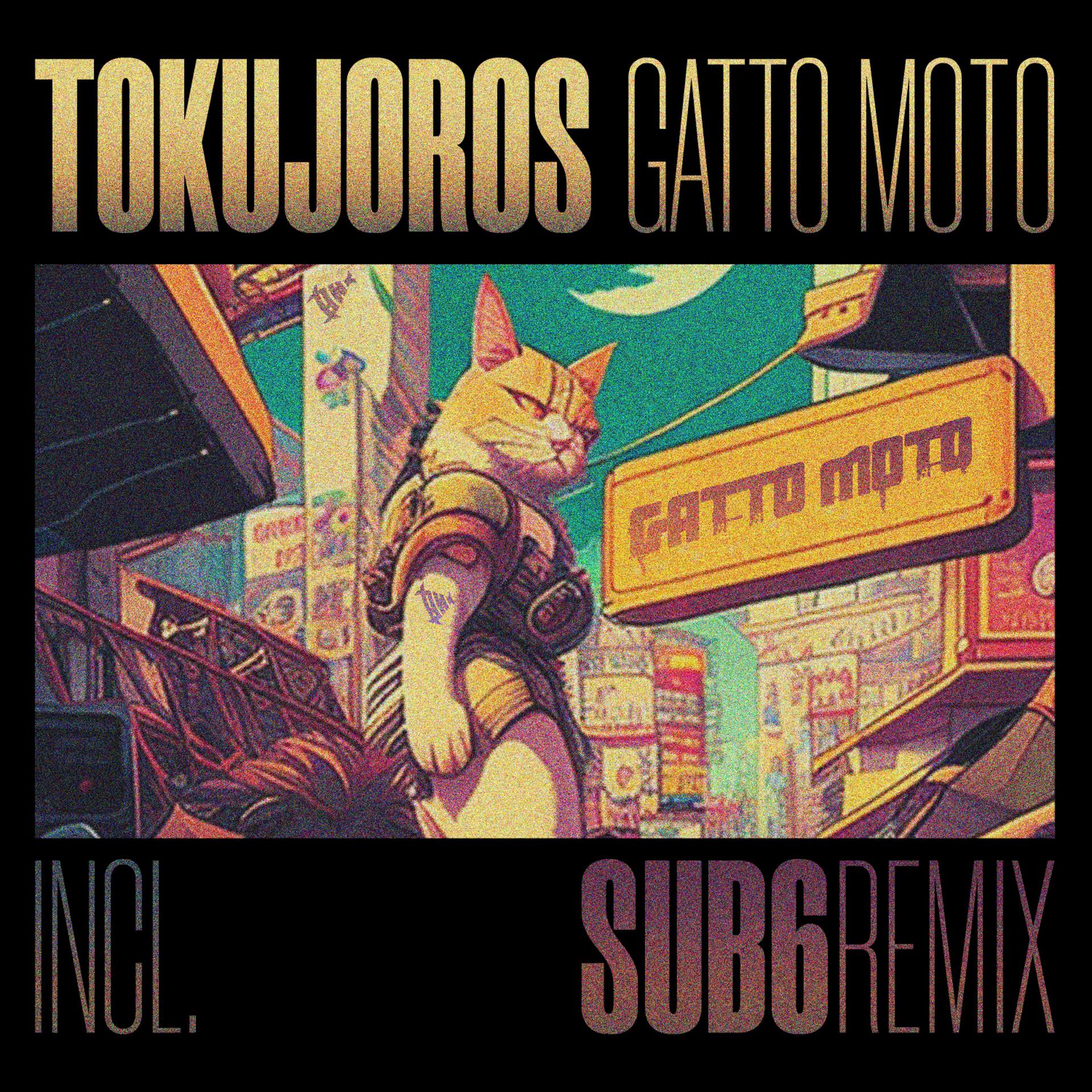 Постер альбома Gatto Moto