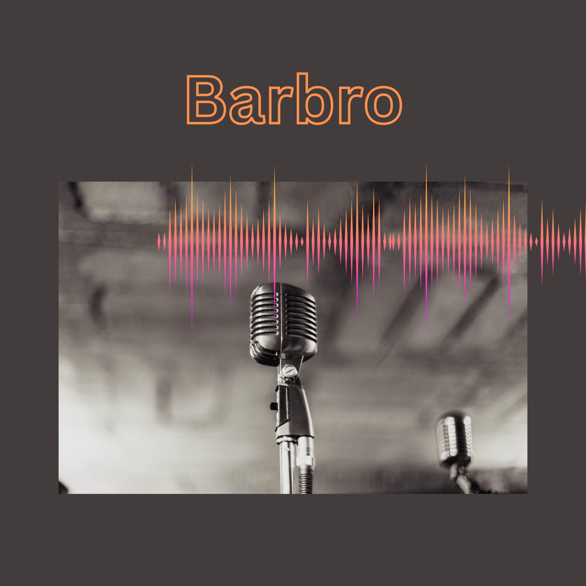 Постер альбома Barbro