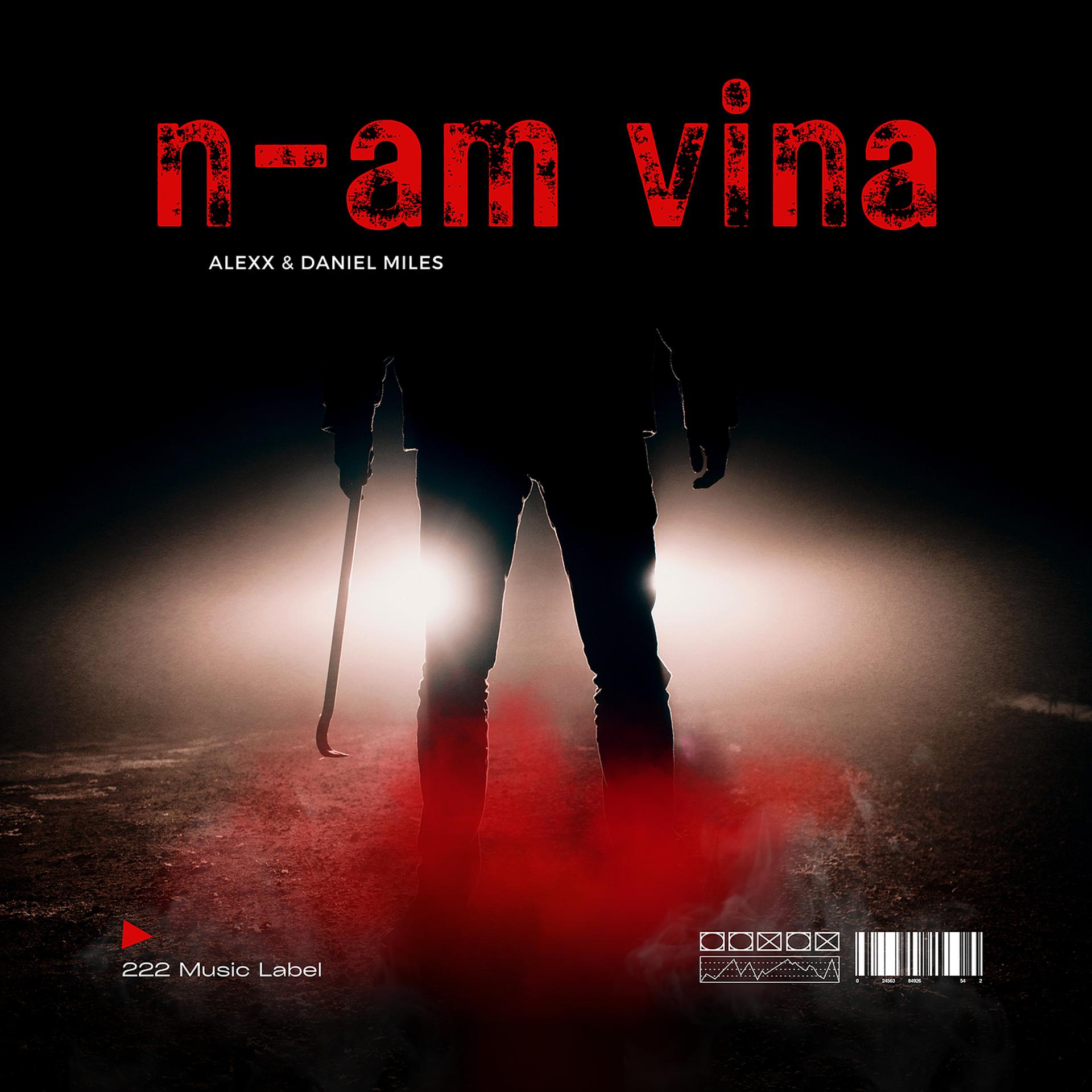Постер альбома N-Am Vina