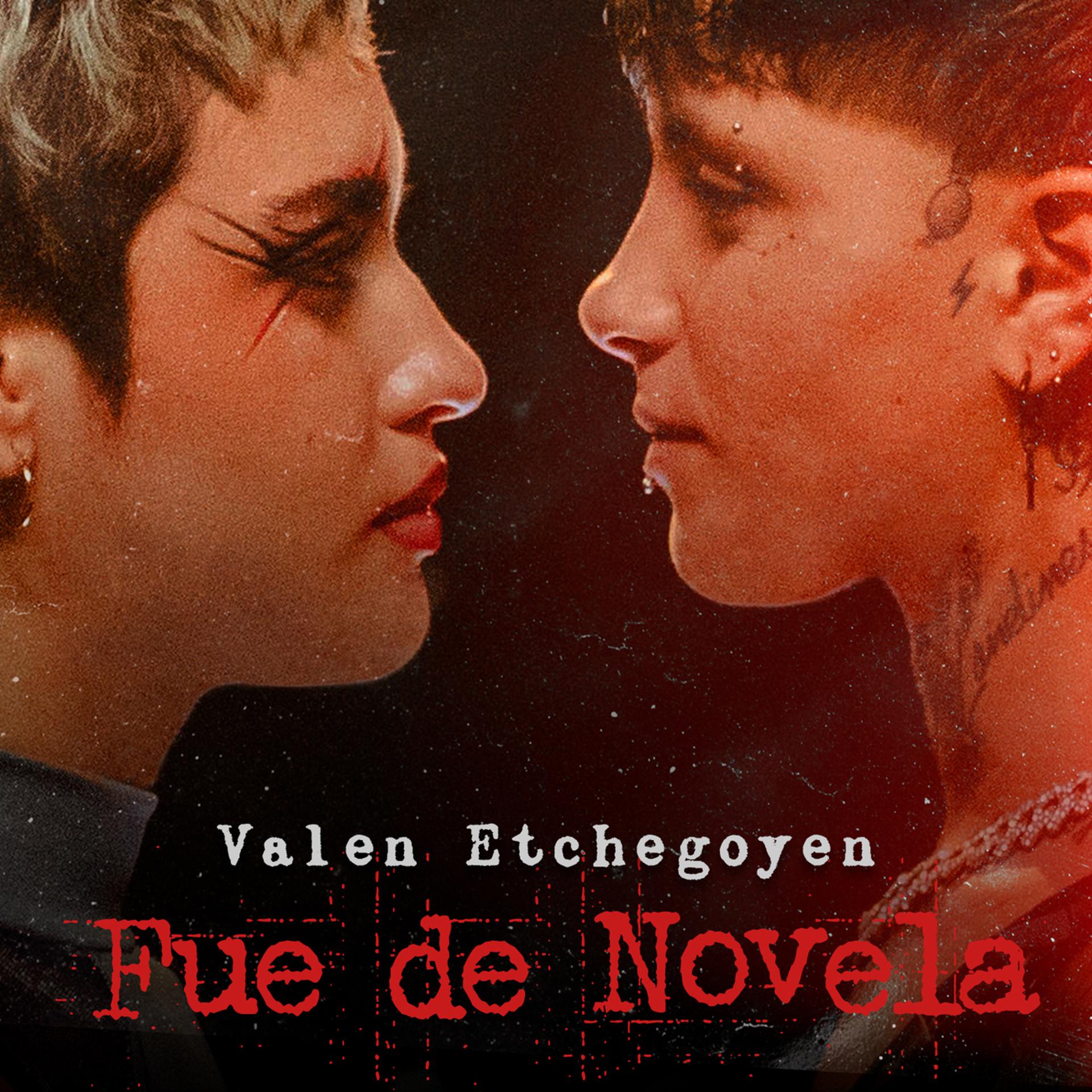 Постер альбома Fue De Novela