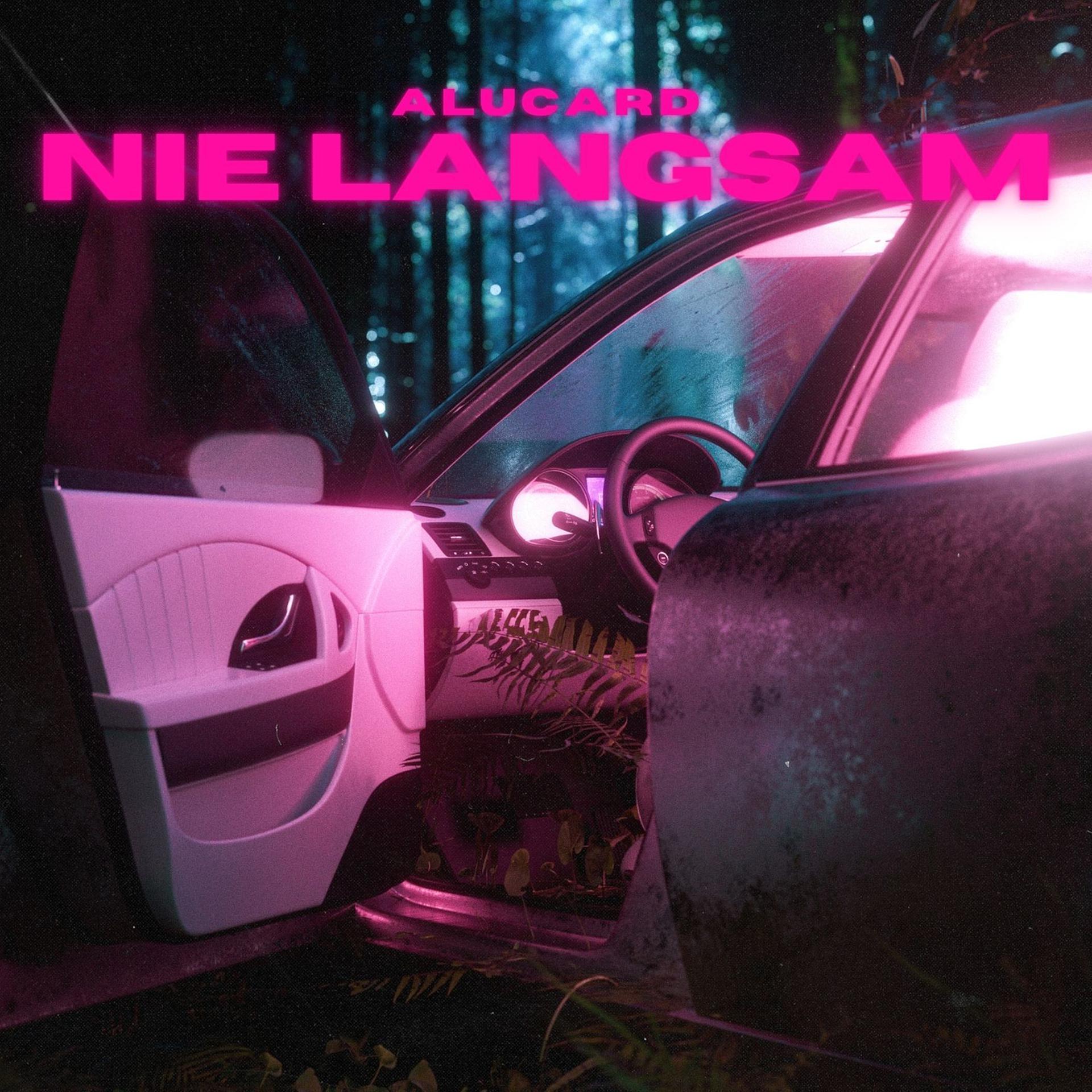 Постер альбома Nie Langsam