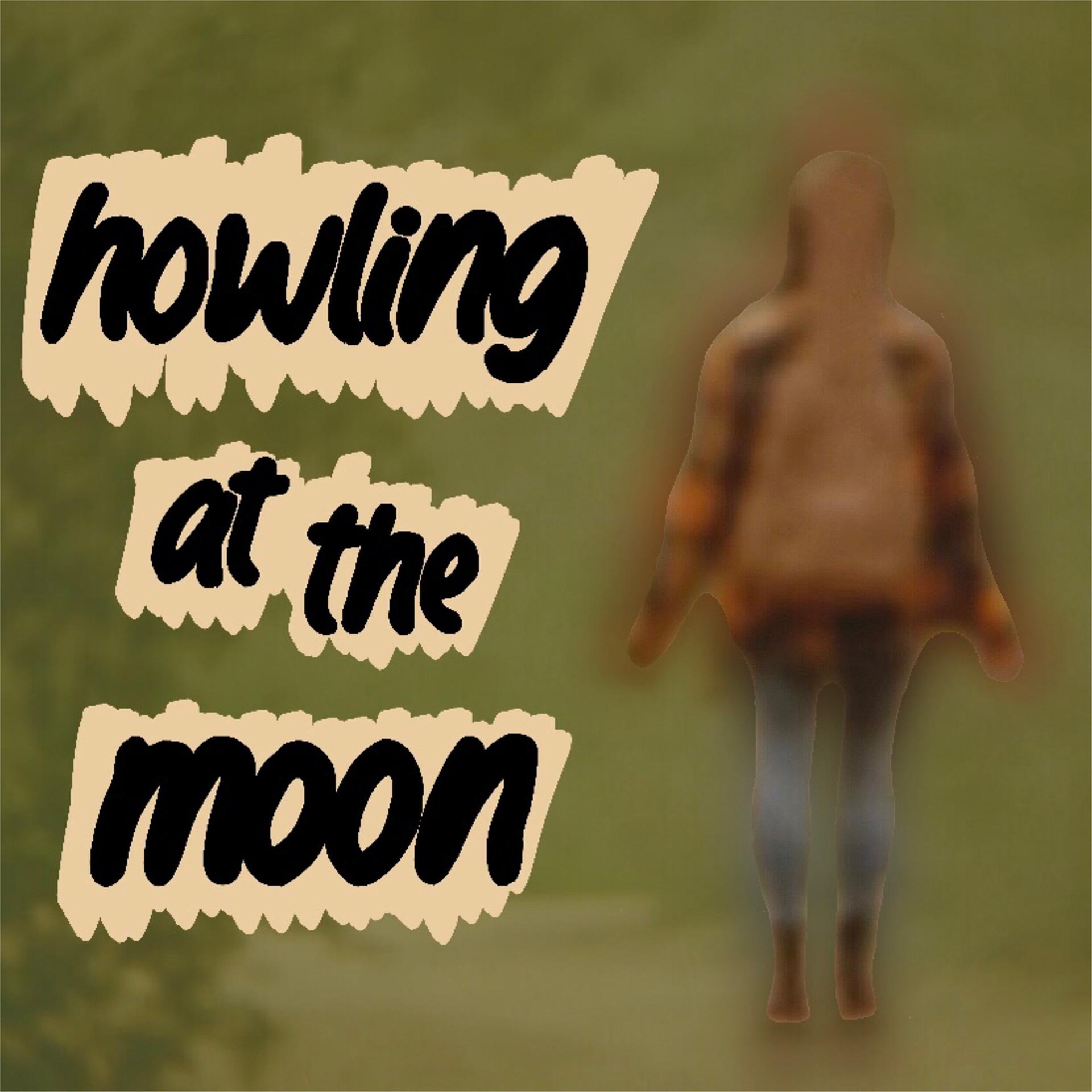 Постер альбома Howling at the Moon