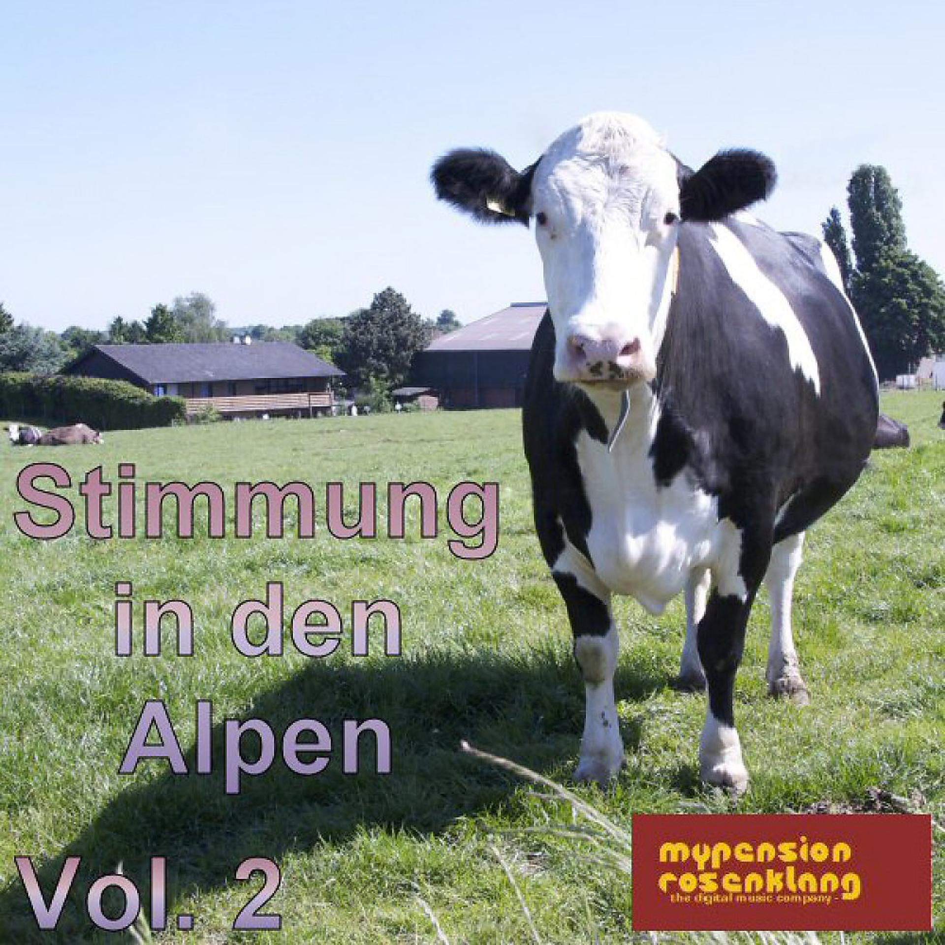 Постер альбома Party in the Alps - Stimmung in Den Alpen Vol. 2