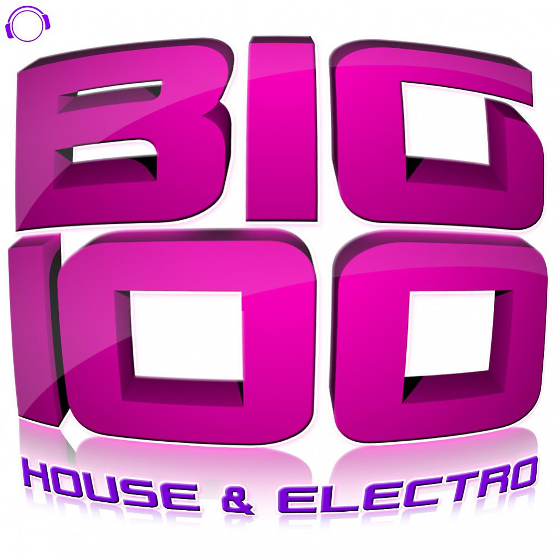 Постер альбома Big 100 (House & Electro)