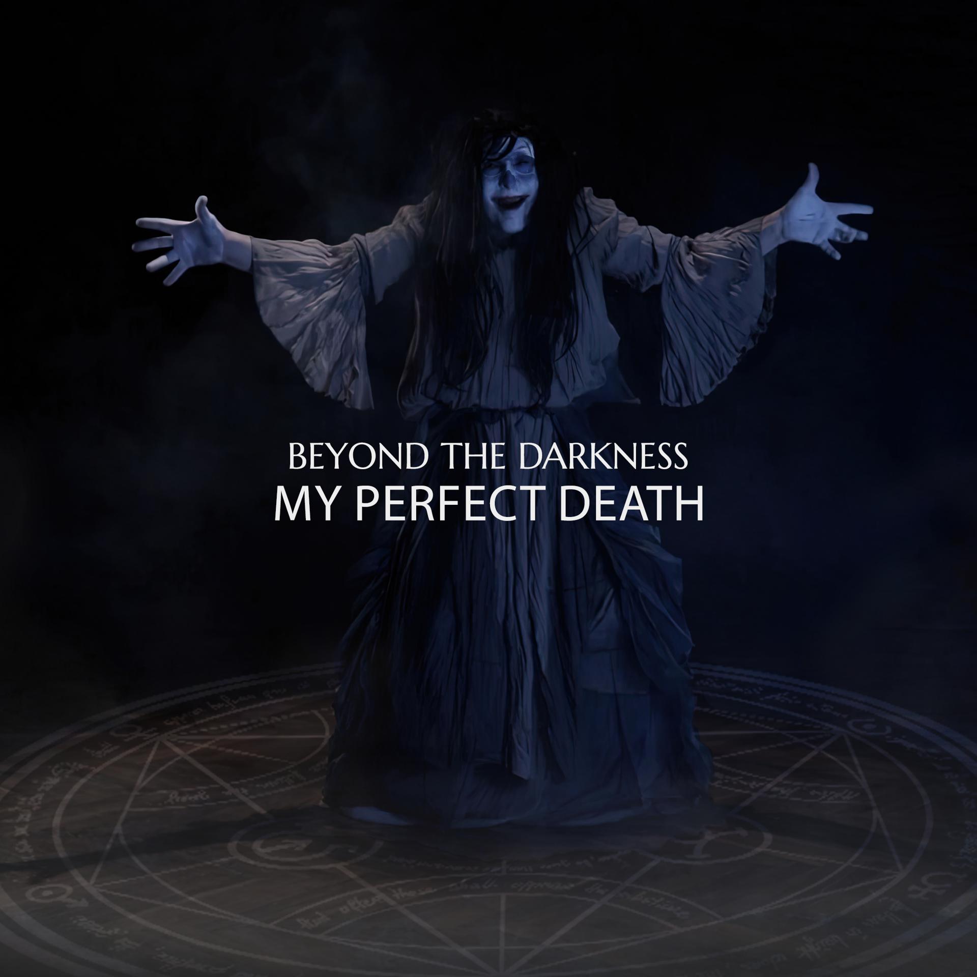 Постер альбома My Perfect Death