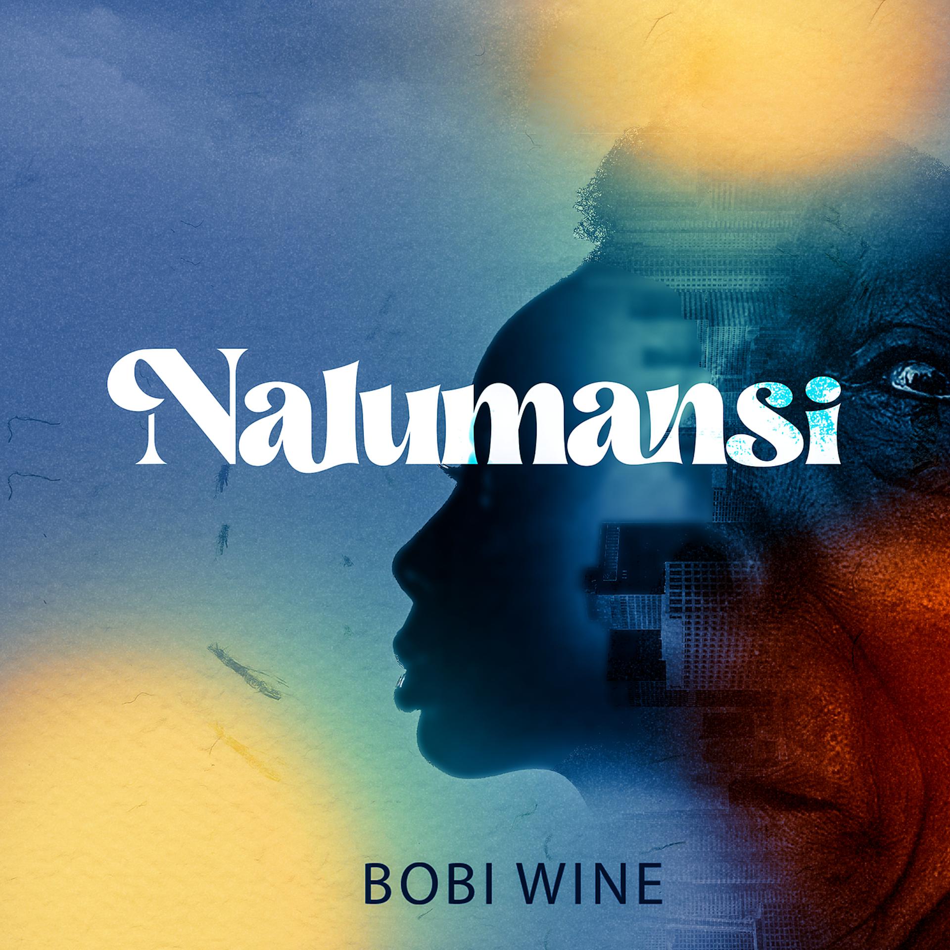 Постер альбома Nalumansi