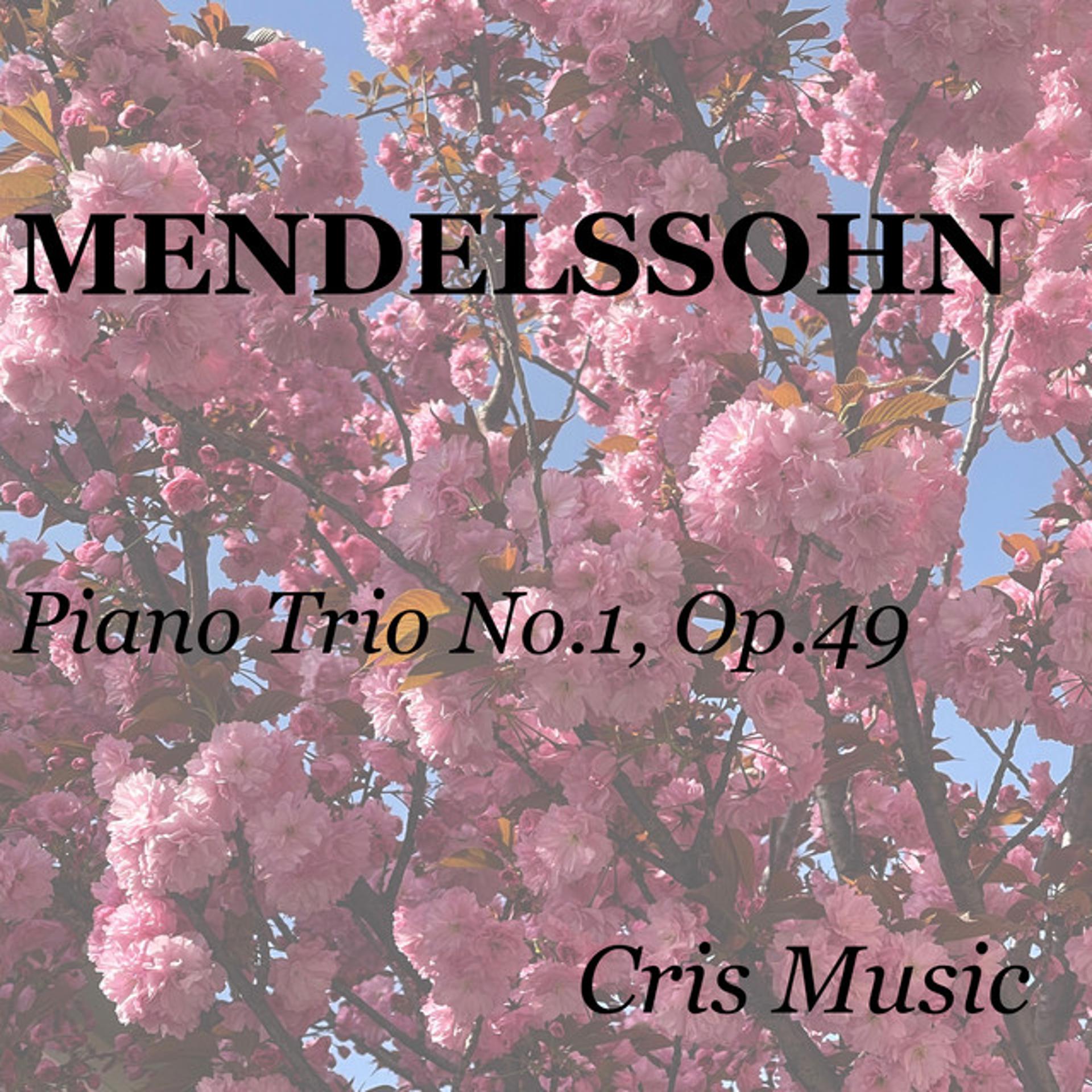 Постер альбома Mendelssohn: Piano Trio No.1, Op.49