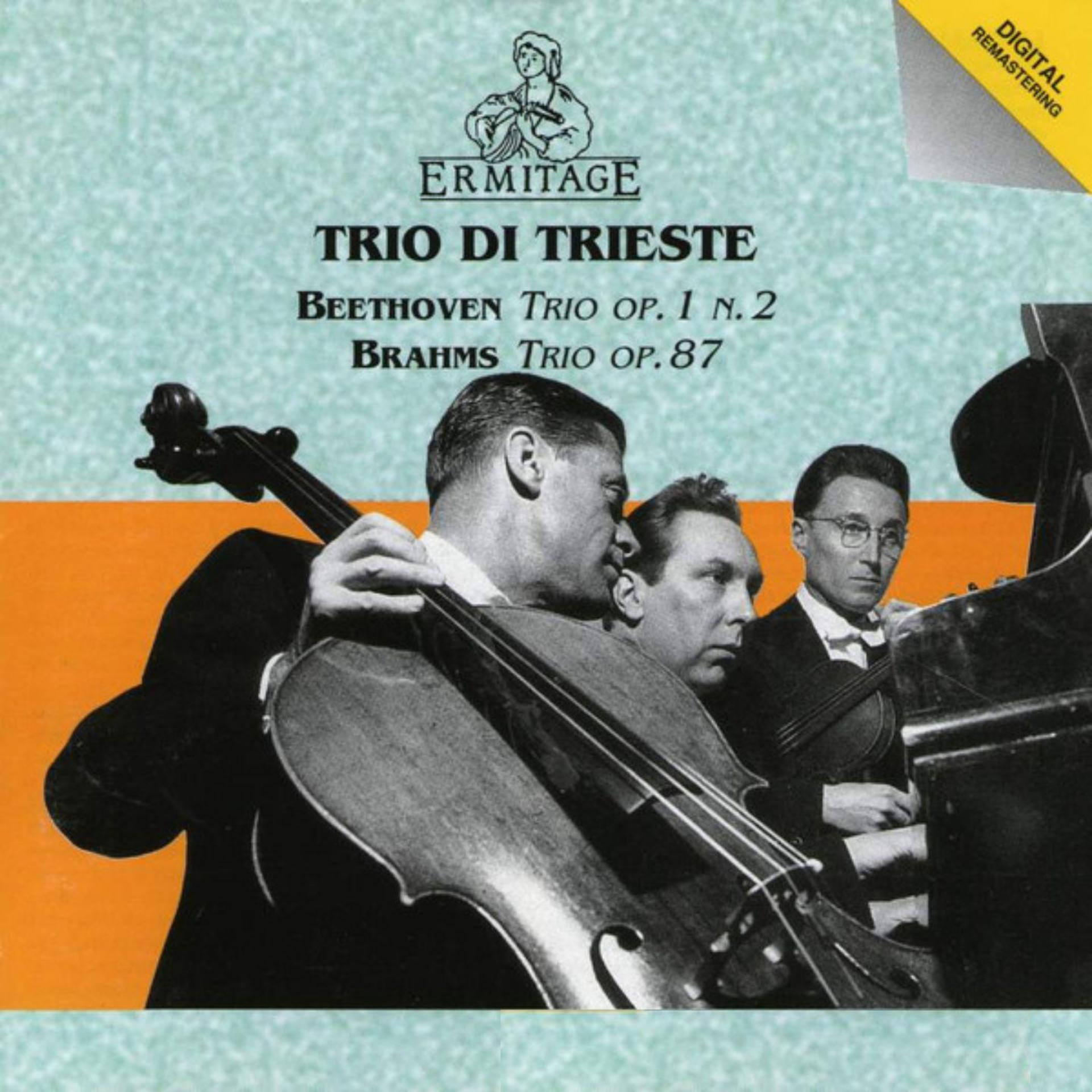 Постер альбома Trio di Trieste: Beethoven ● Brahms