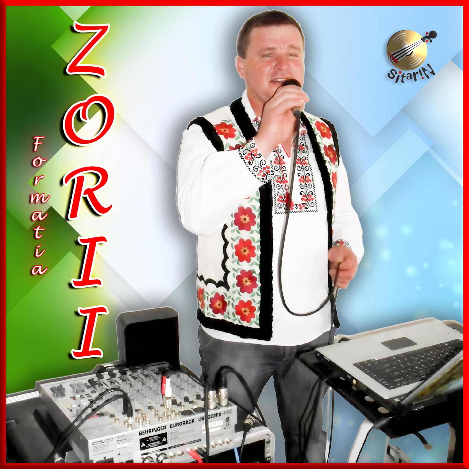 Постер альбома Muzica de Petrecere cu Formatia Zorii