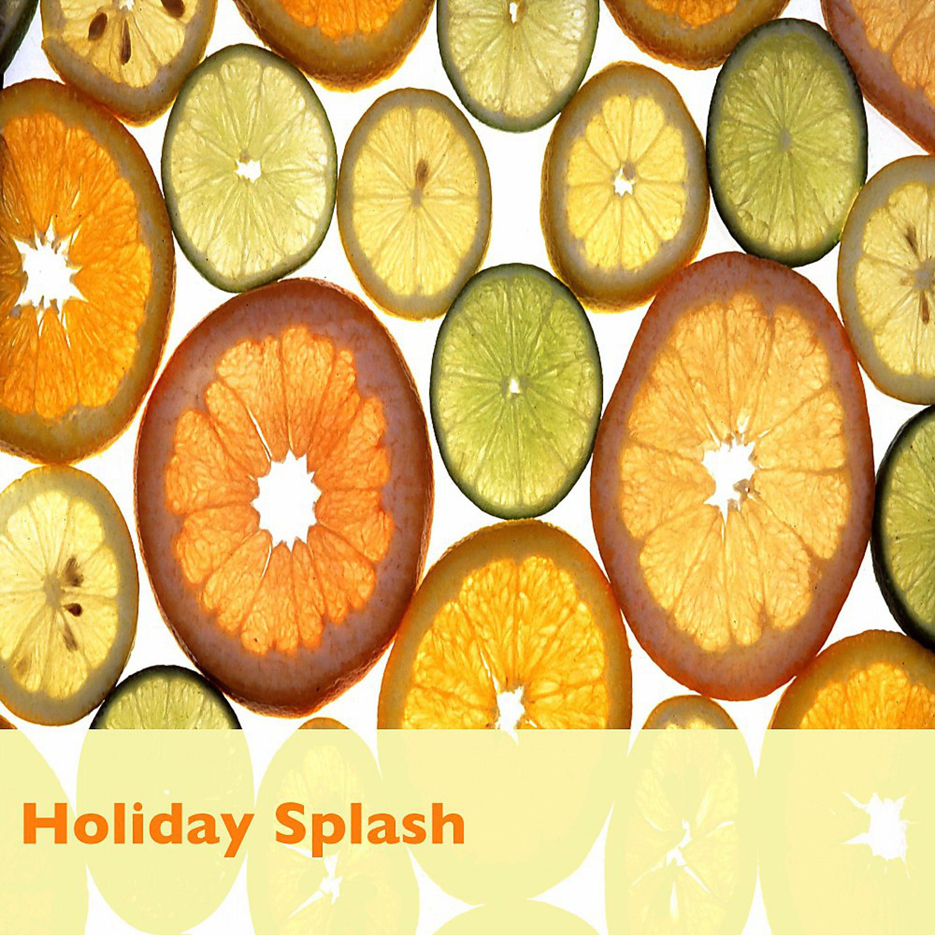 Постер альбома Holiday Splash
