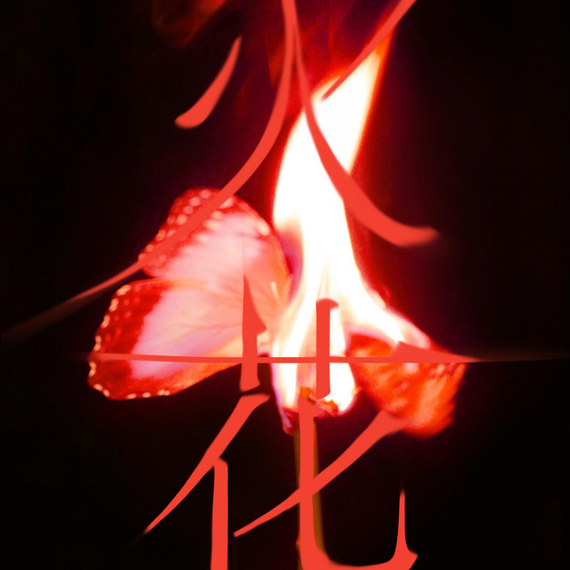Постер альбома I burn