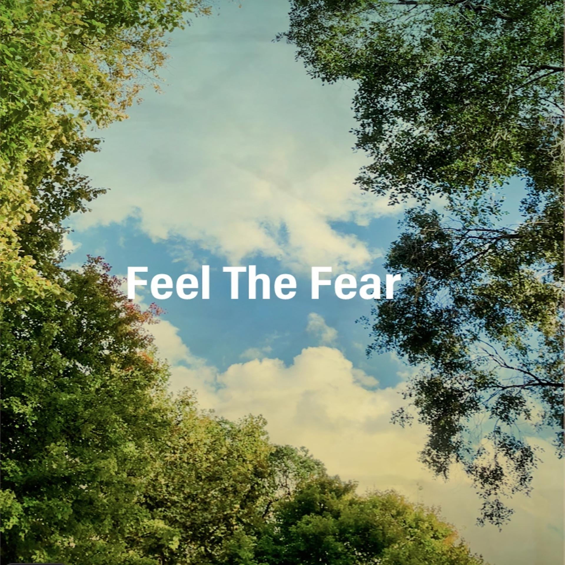 Постер альбома Feel the Fear