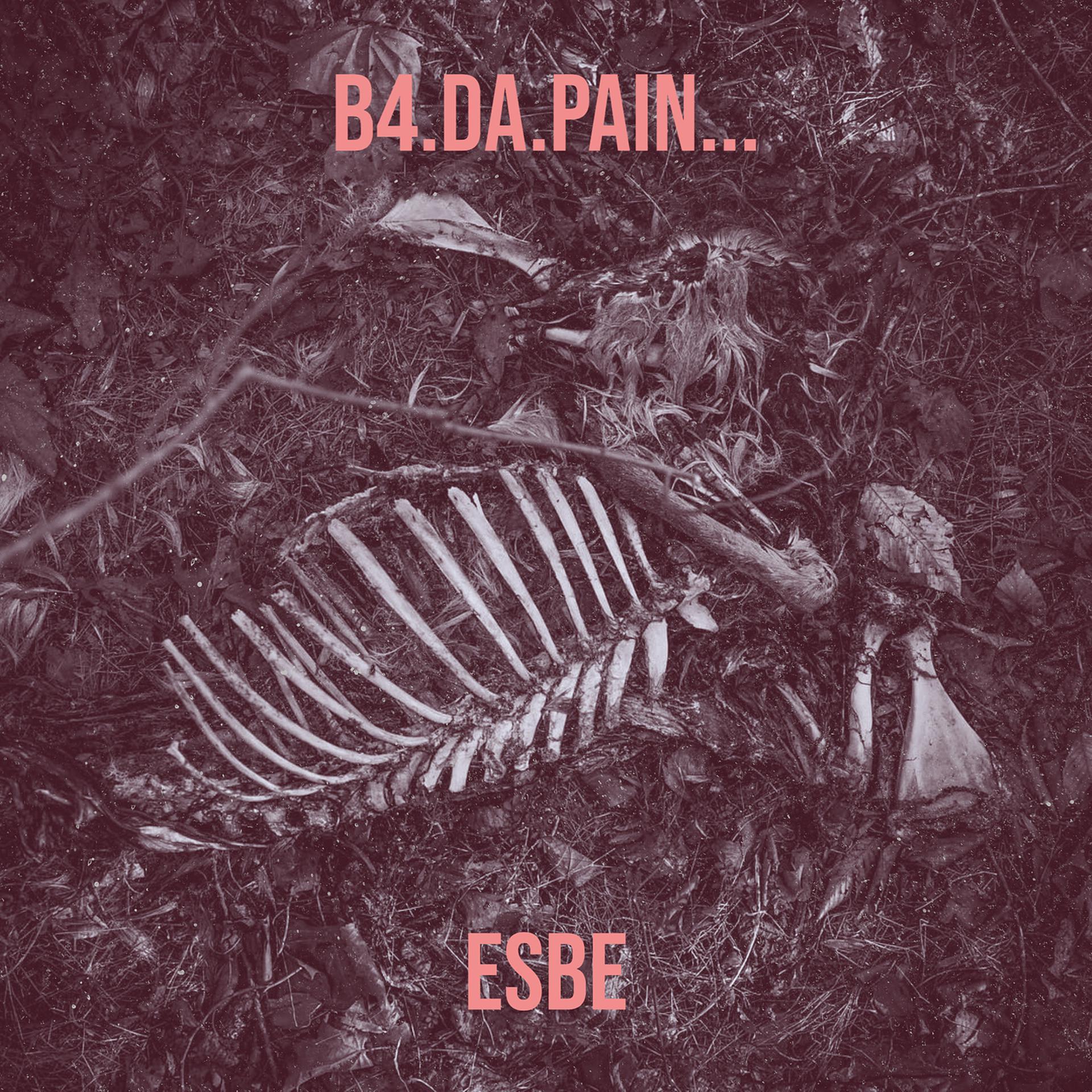 Постер альбома B4.da.Pain...