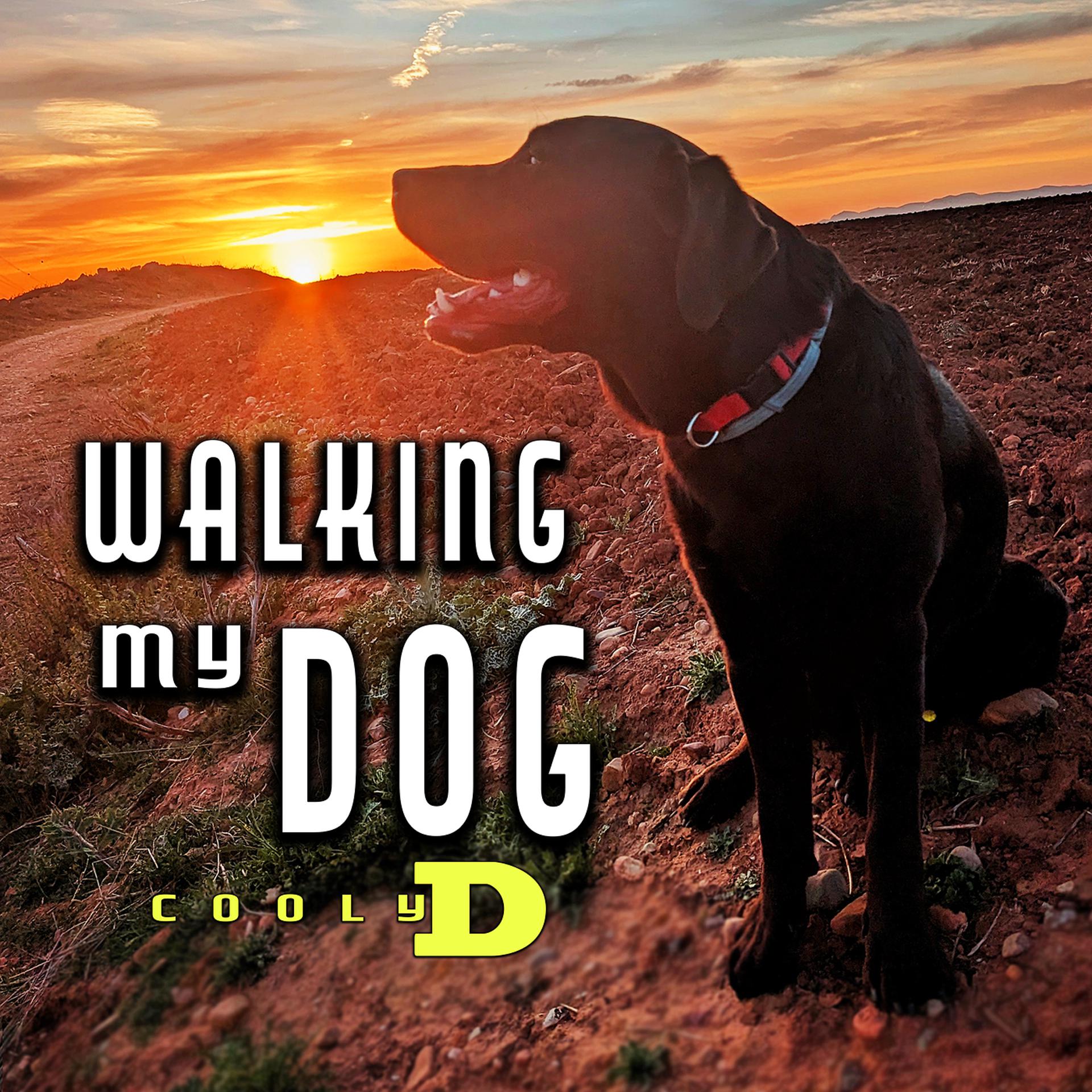Постер альбома Walking My Dog