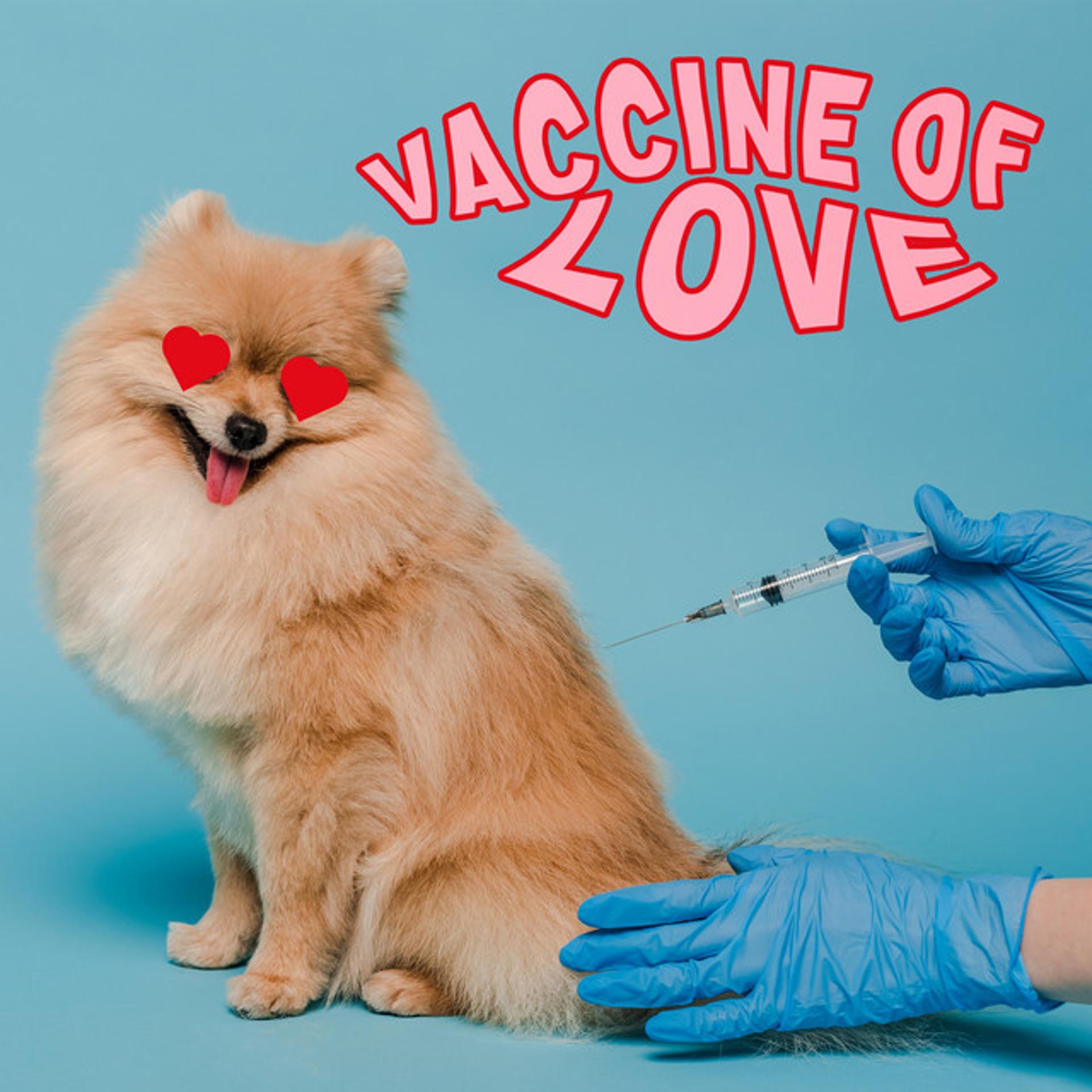 Постер альбома Vaccine of Love