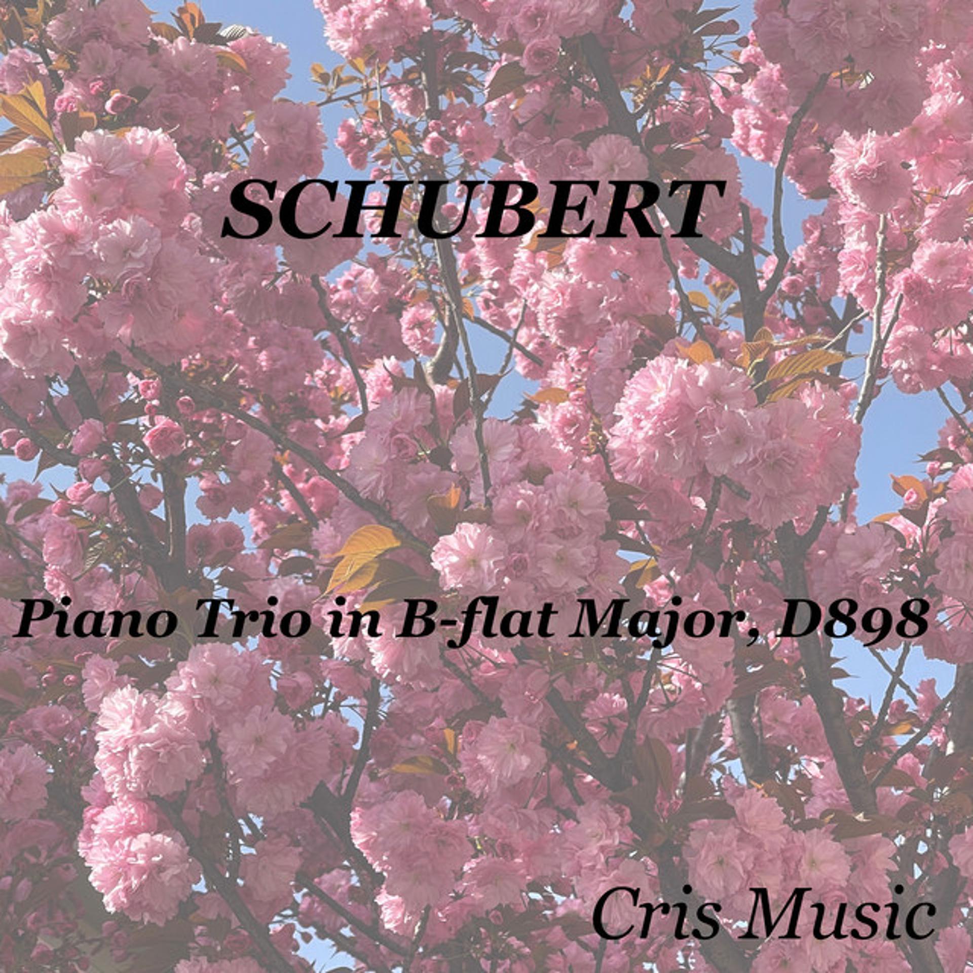 Постер альбома Schubert: Piano Trio in B-flat Major, D.898