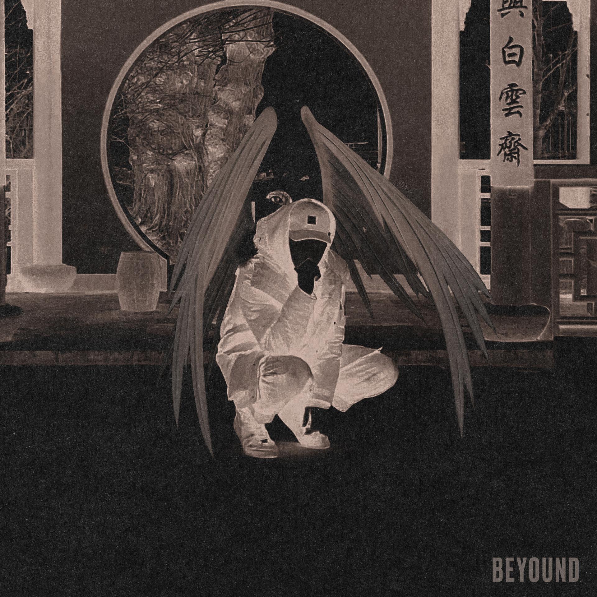 Постер альбома Beyound
