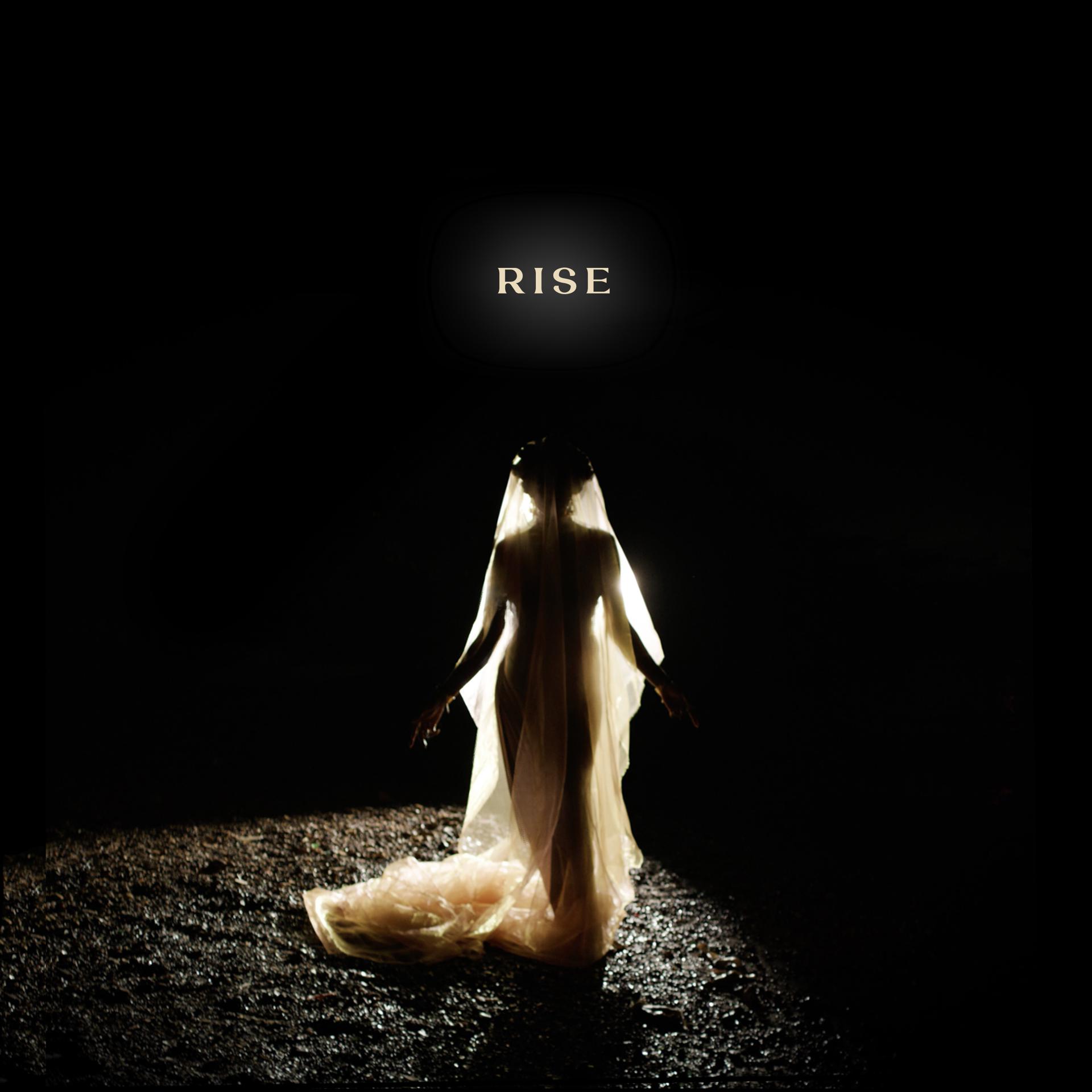 Постер альбома Rise