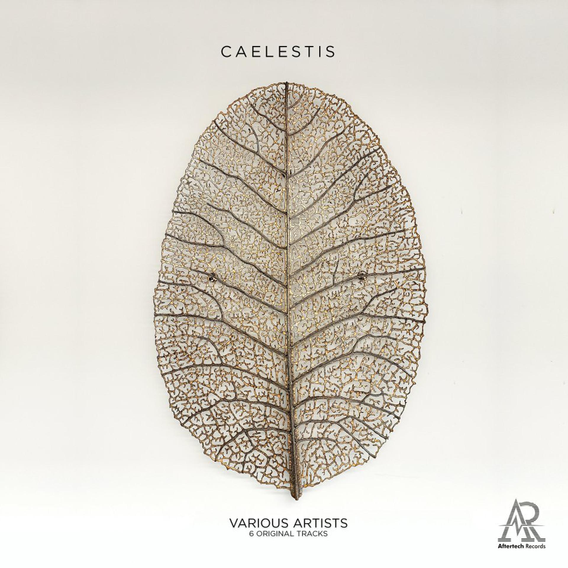 Постер альбома Caelestis
