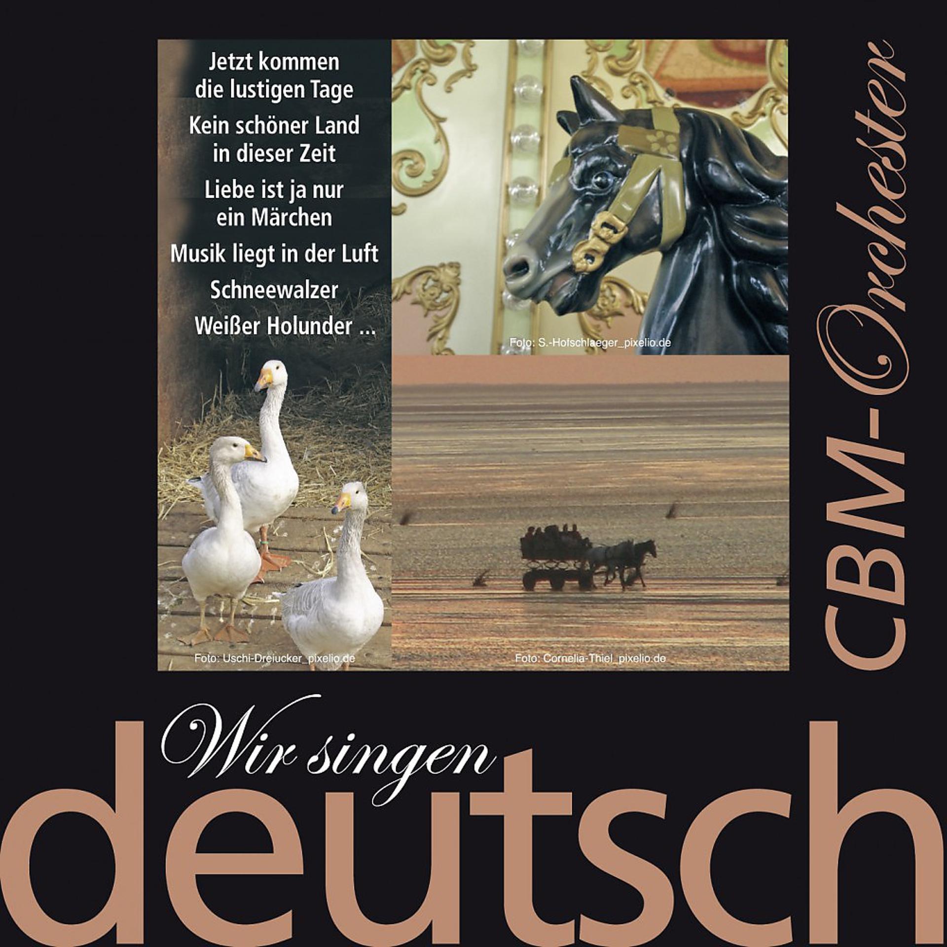 Постер альбома Wir singen deutsch - Jetzt kommen die lustigen Tage