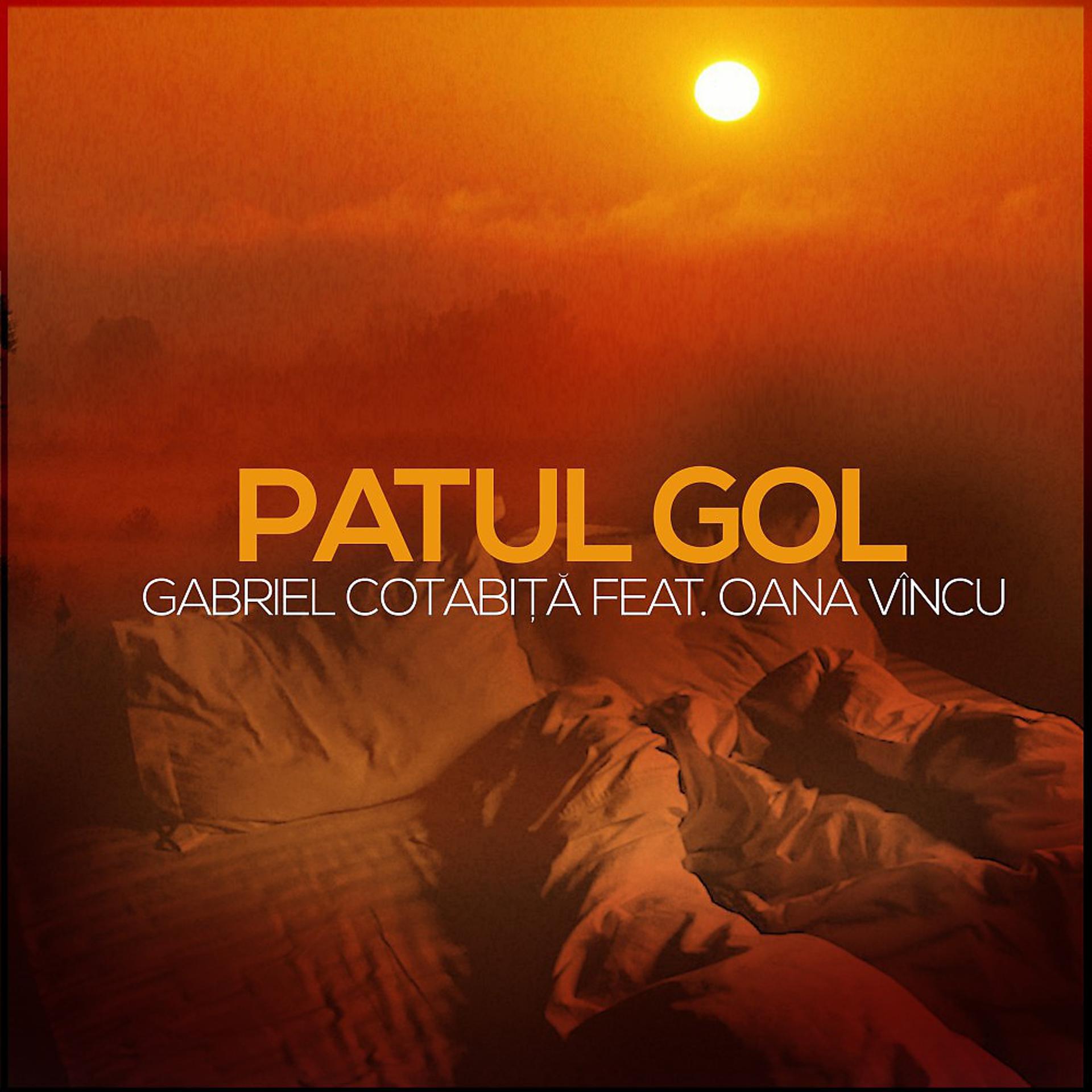 Постер альбома Patul gol