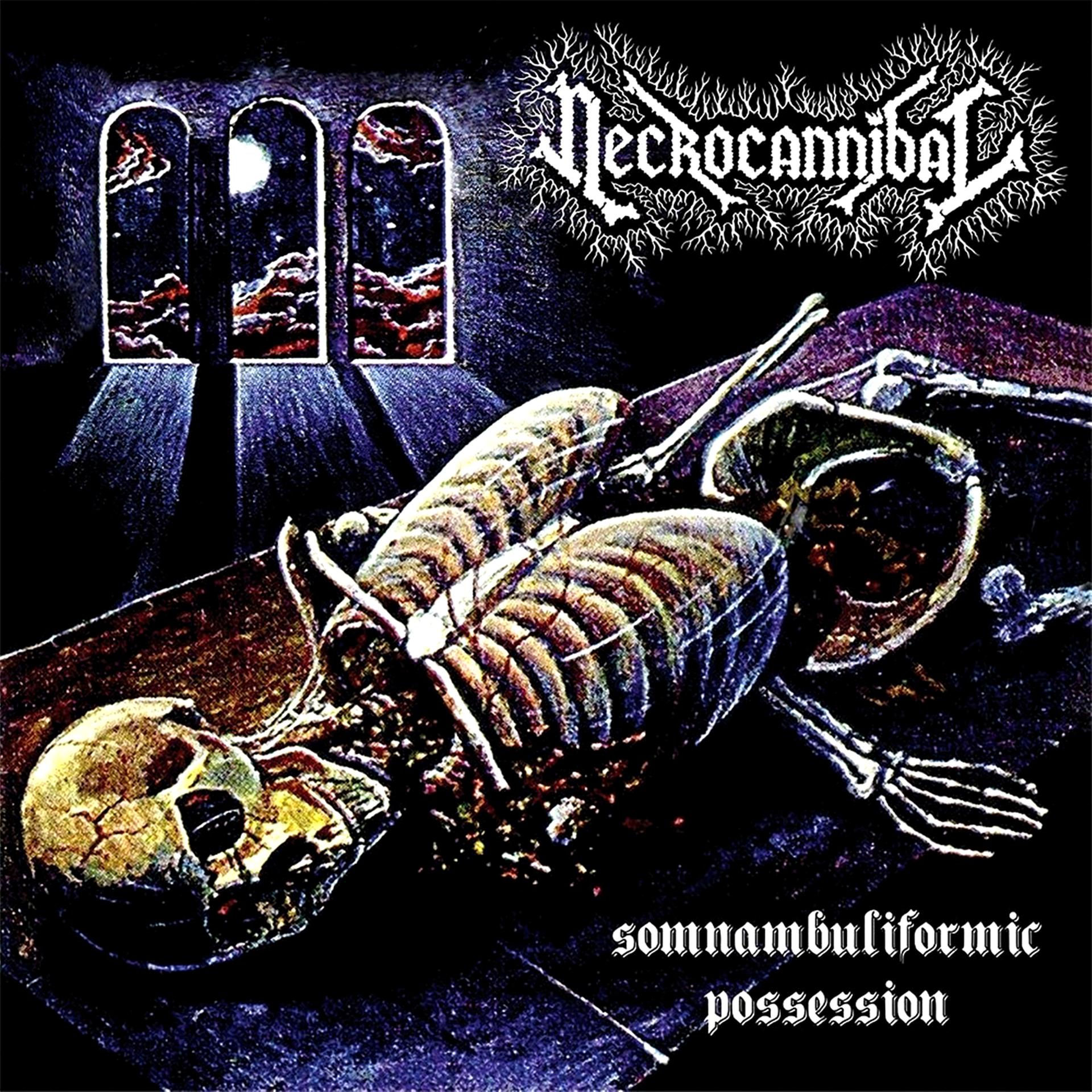 Постер альбома Somnambuliformic Possession