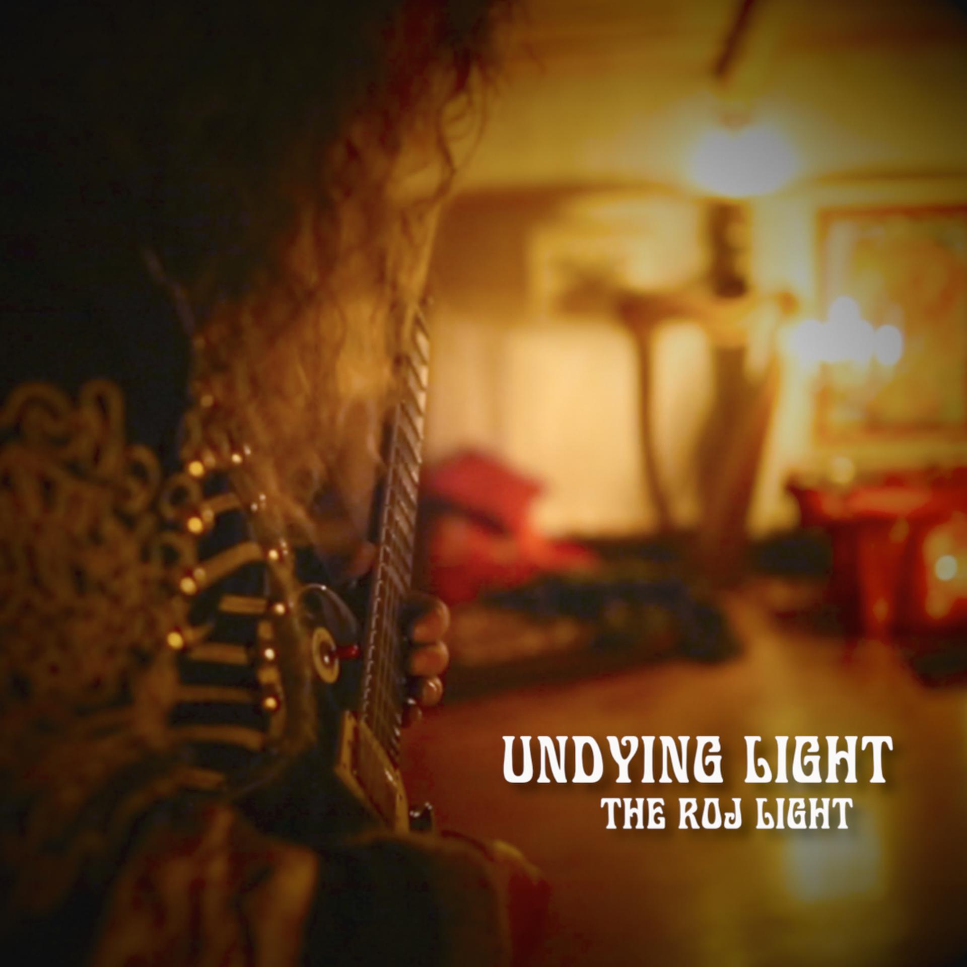 Постер альбома Undying Light