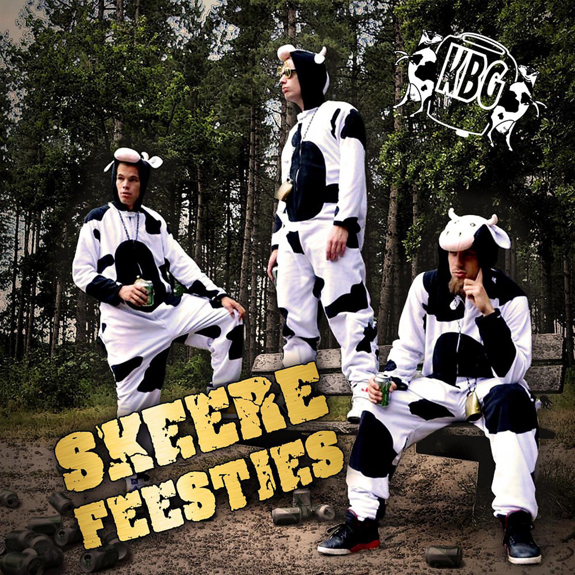 Постер альбома Skeere Feestjes