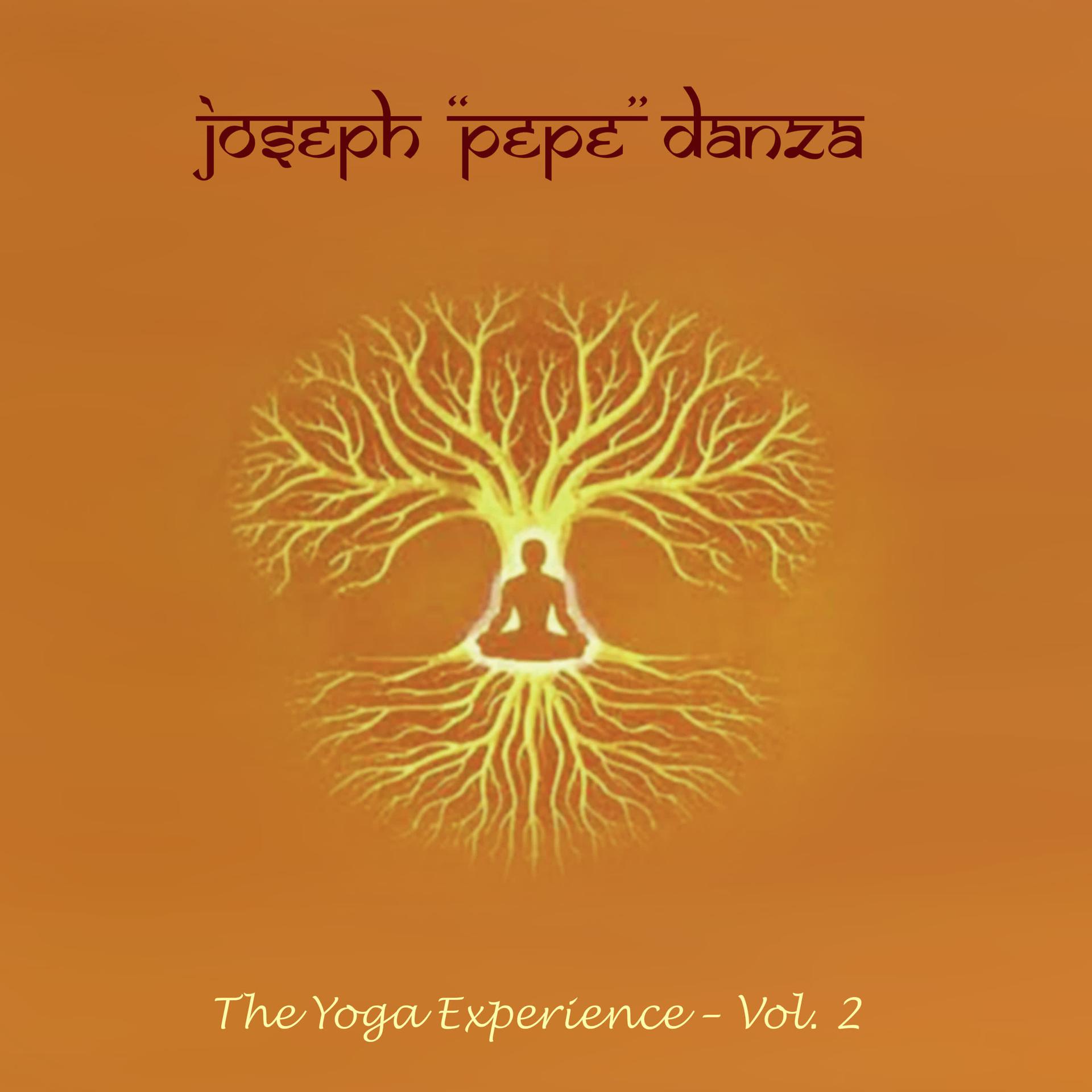 Постер альбома Yoga Experience (Volume 2)