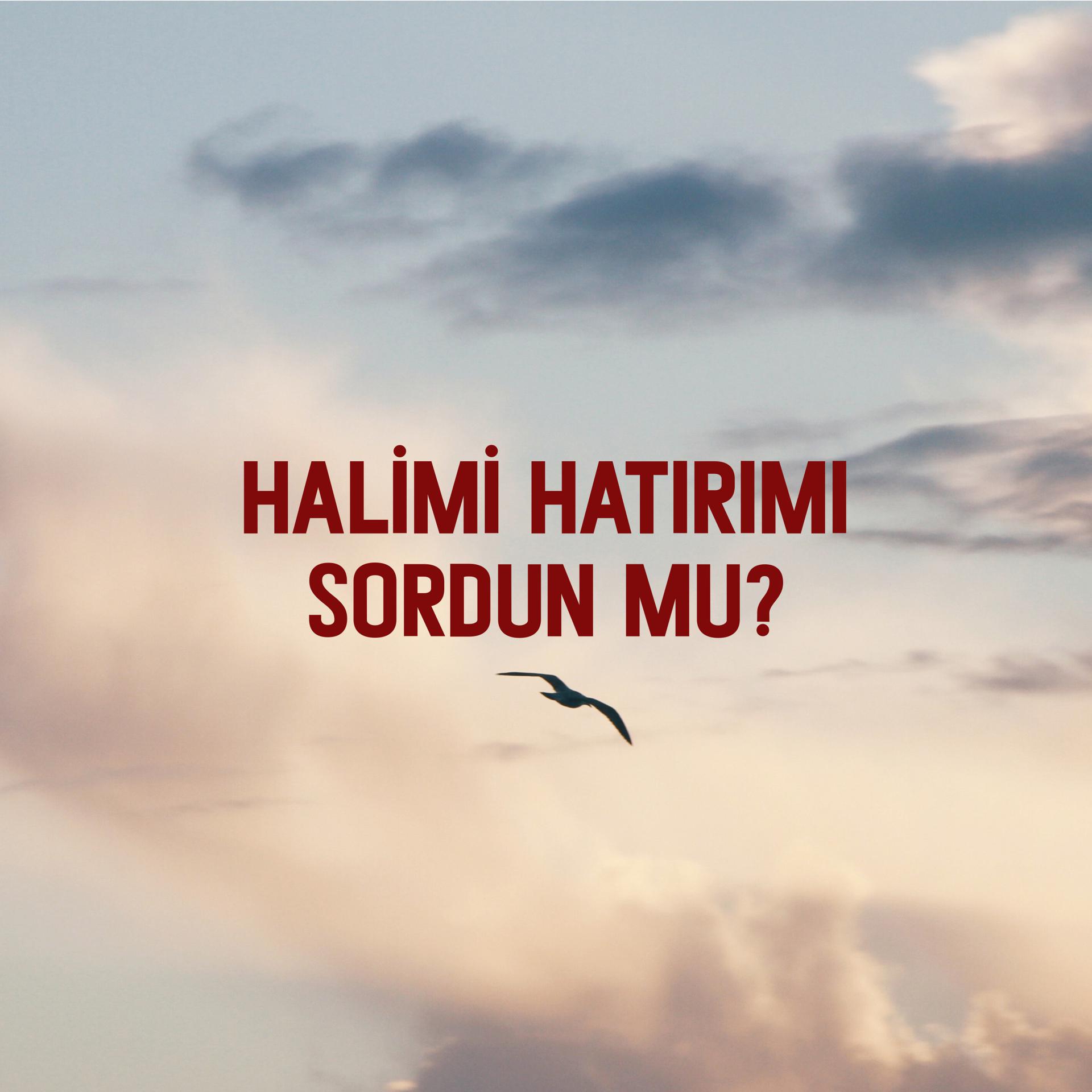 Постер альбома Halimi Hatırımı Sordun Mu, Vol. 2