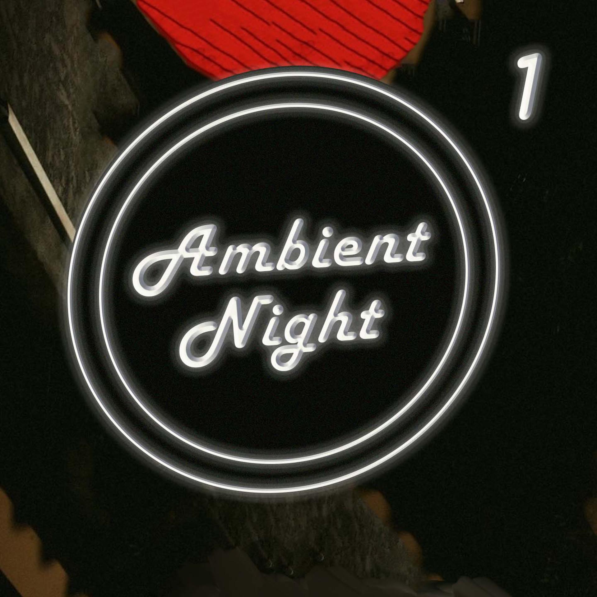Постер альбома Ambient Nights 1
