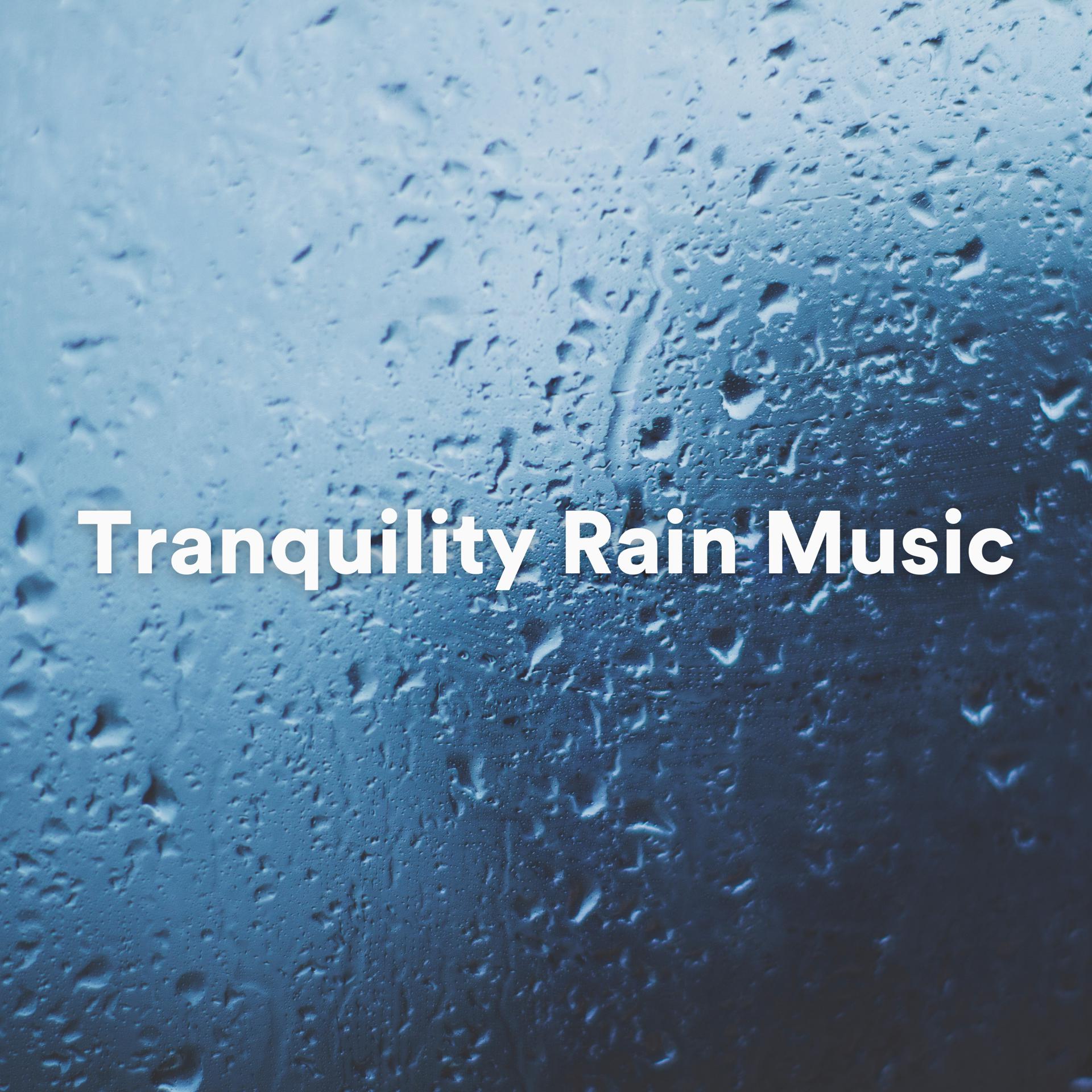 Постер альбома Tranquility Rain Music